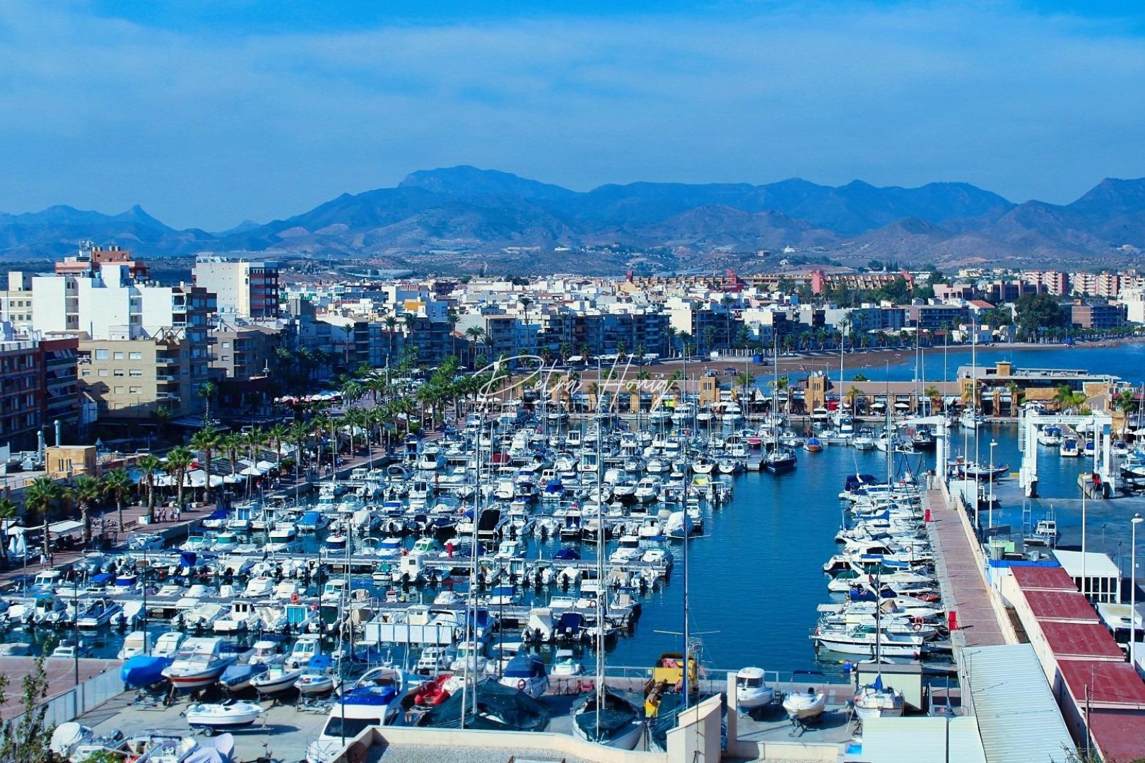 mpya - Villa - Other areas - La Pinilla