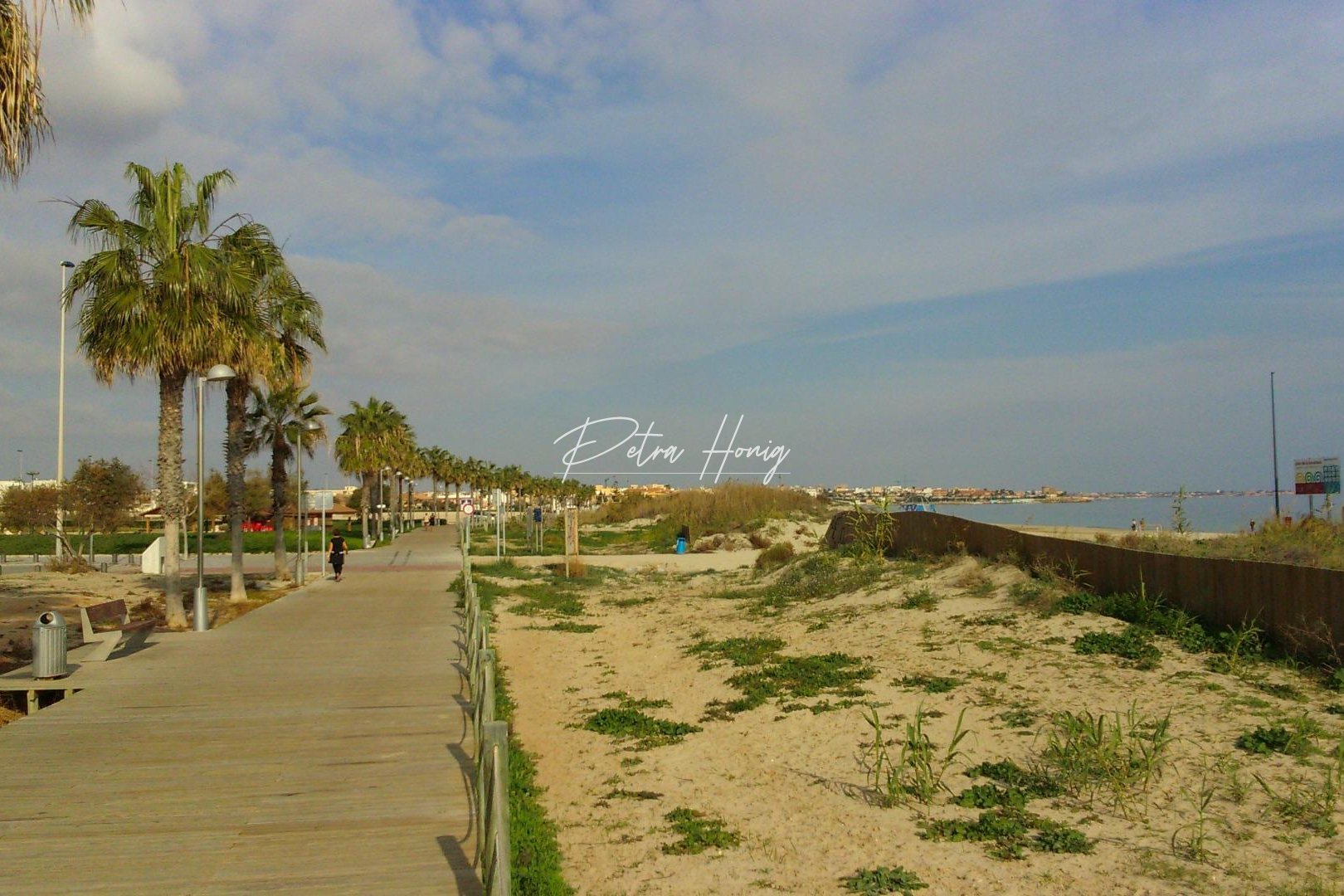 mpya - Villa - Pilar de La Horadada