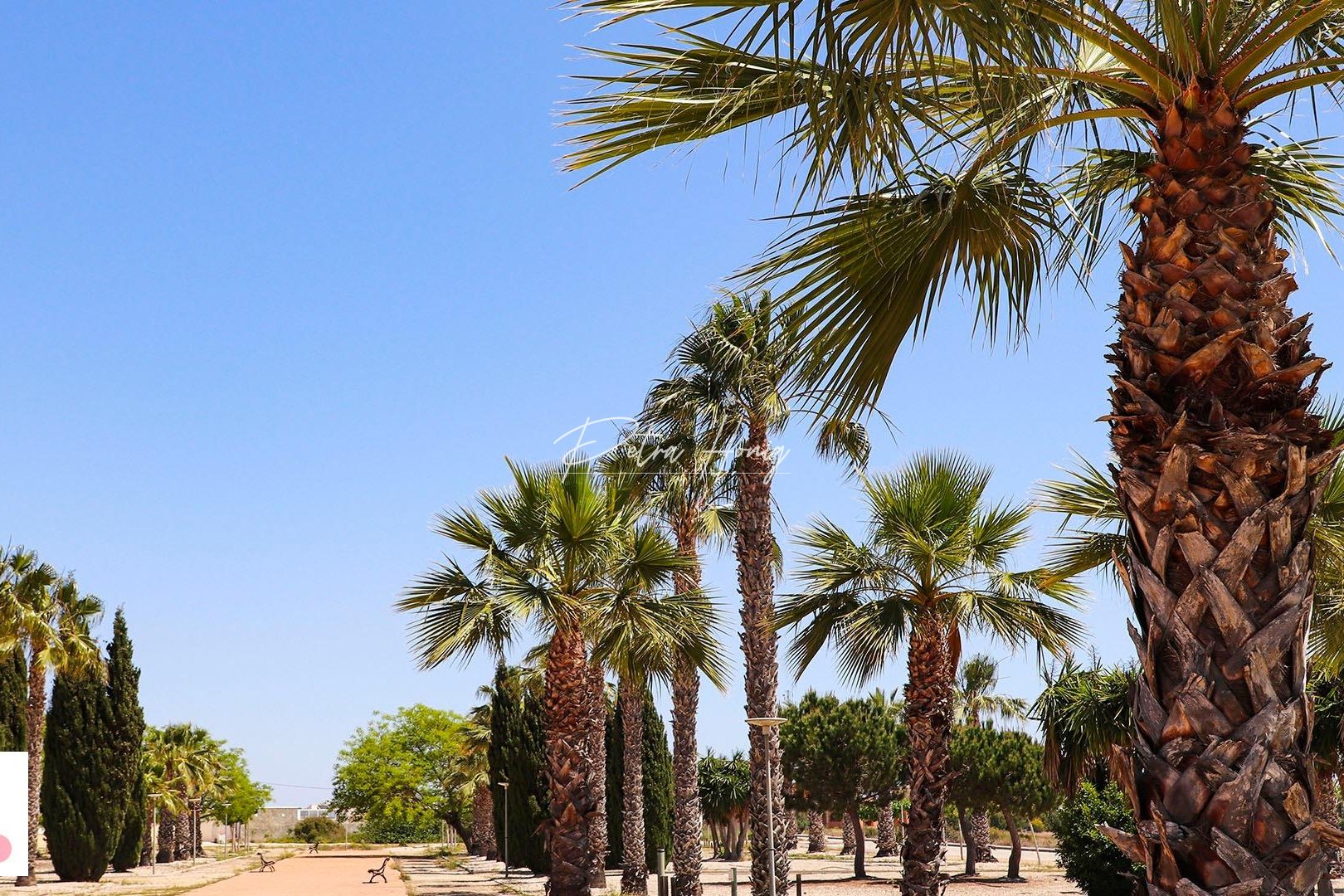 mpya - Villa - San Fulgencio - La Escuera