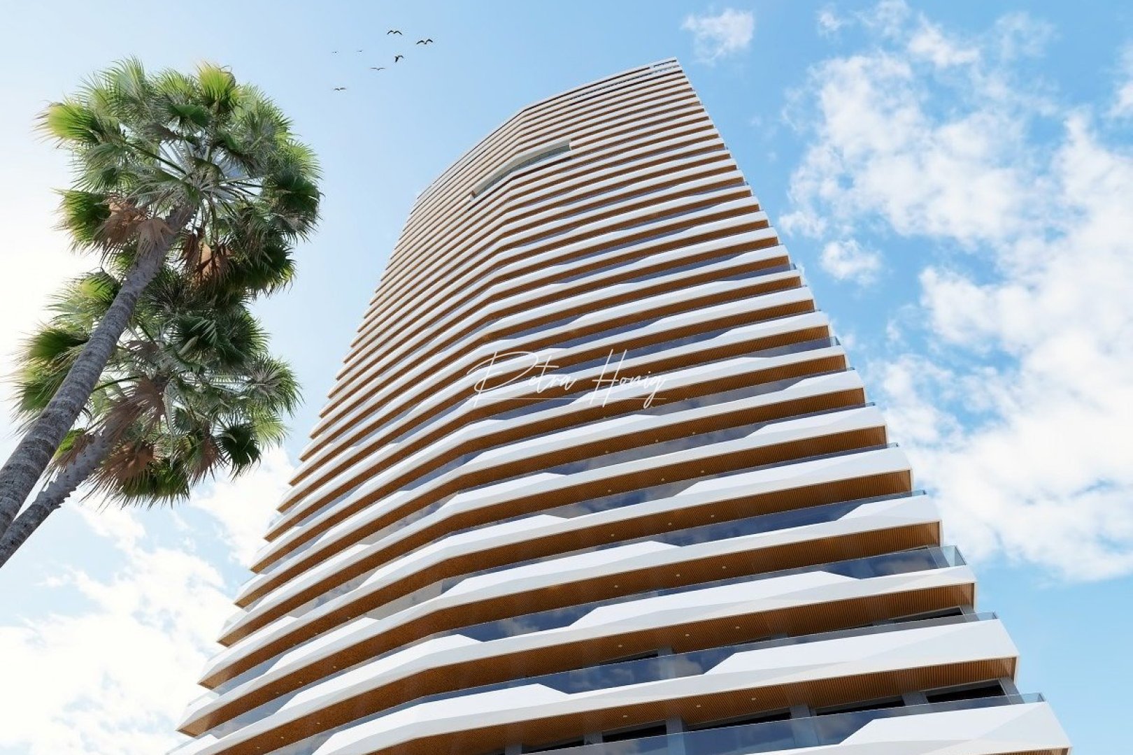 Neubau-Projekte - Apartment - Benidorm - Poniente