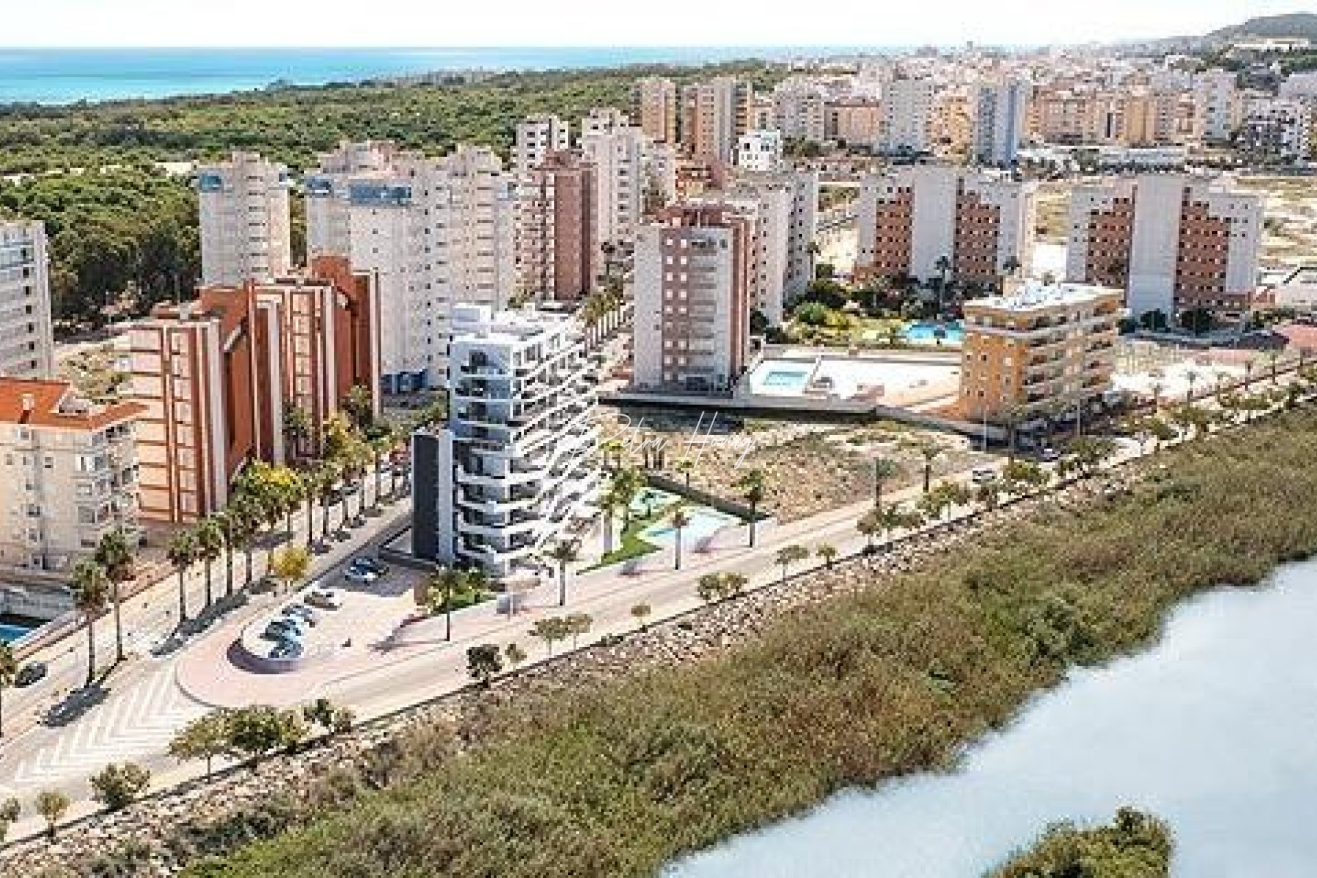 Neubau-Projekte - Apartment - Guardamar del Segura - PUERTO
