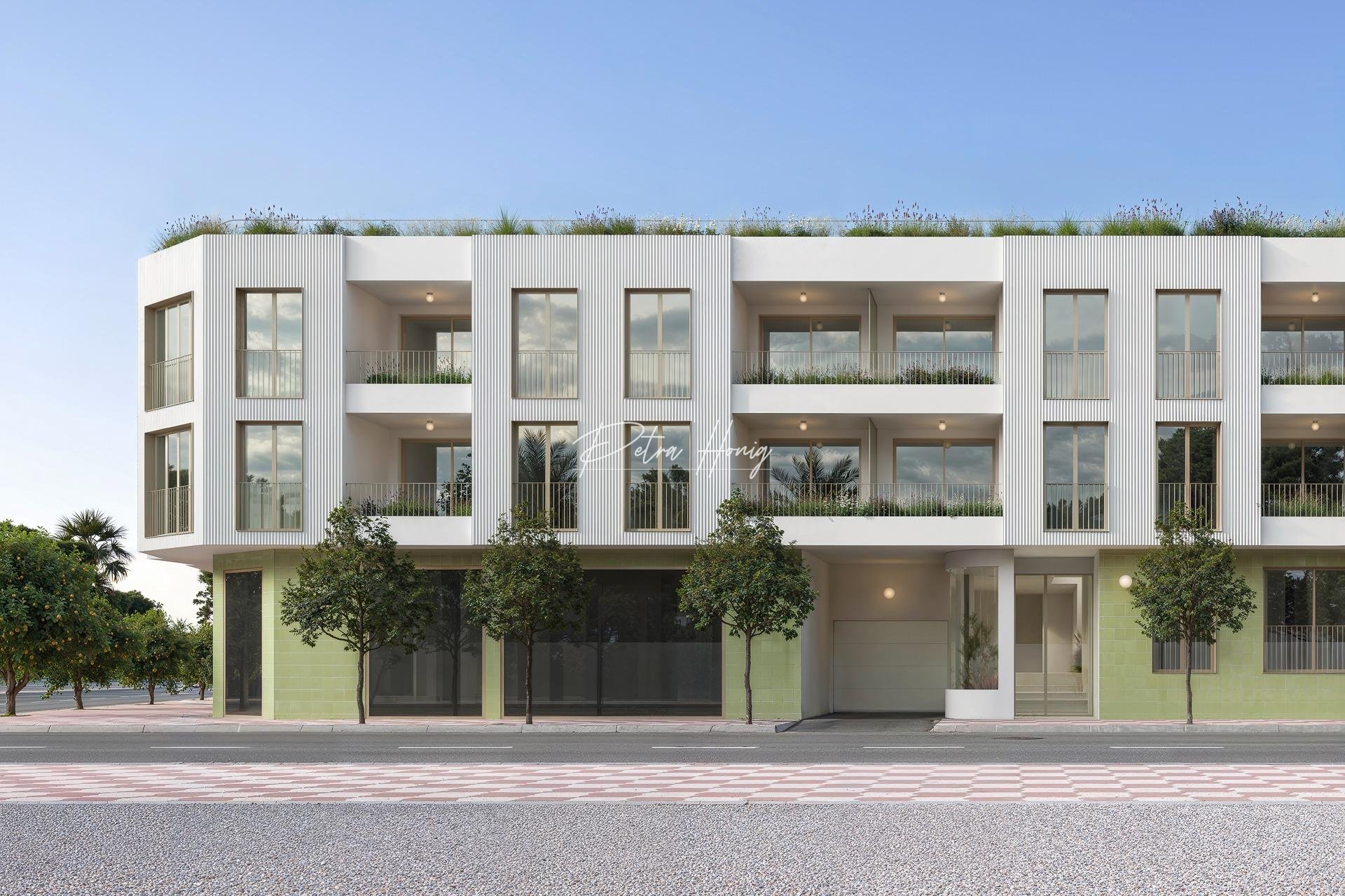 Neubau-Projekte - Apartment - Jacarilla - pueblo