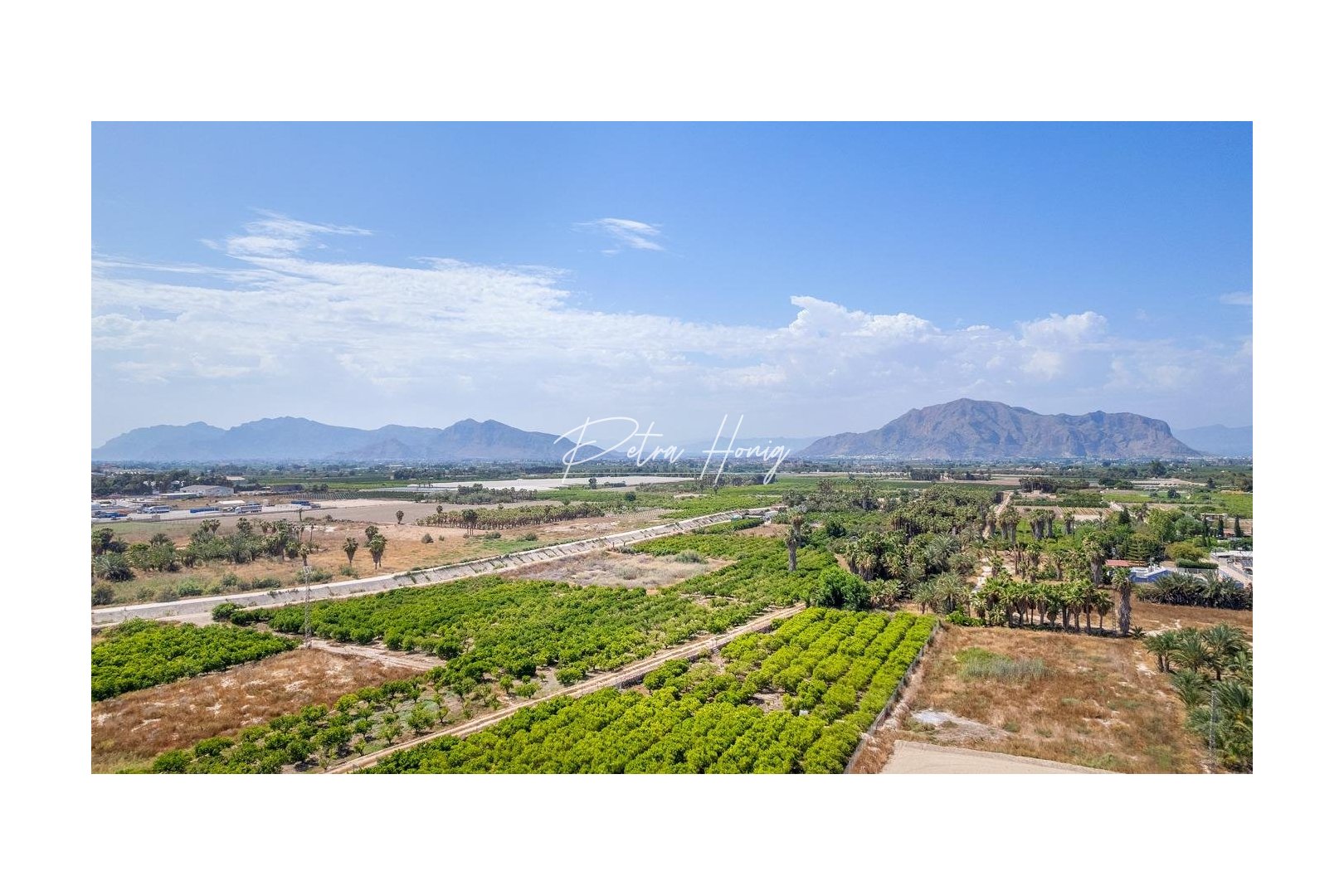 Neubau-Projekte - Apartment - Jacarilla - pueblo