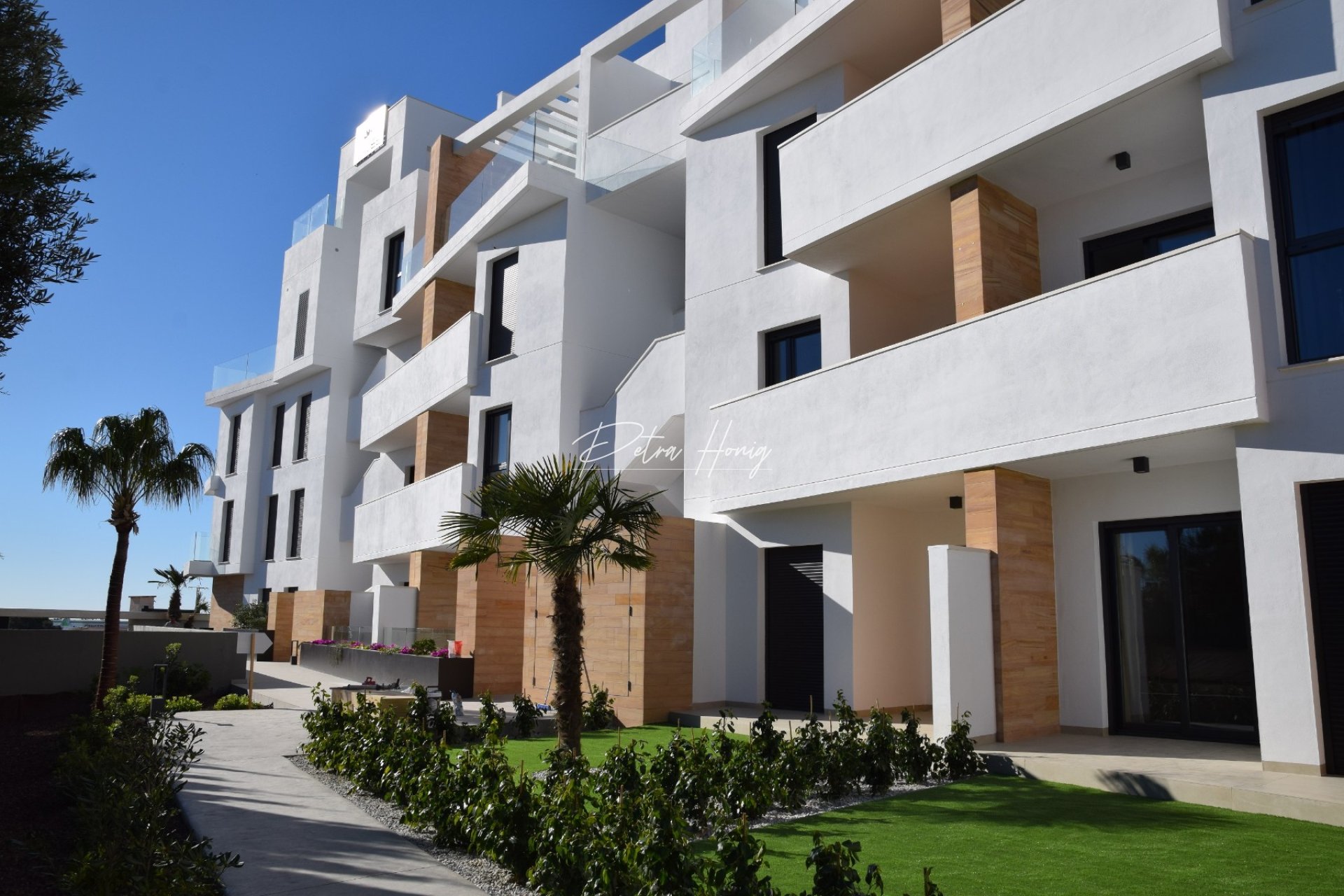 Neubau-Projekte - Apartment - Los Dolses