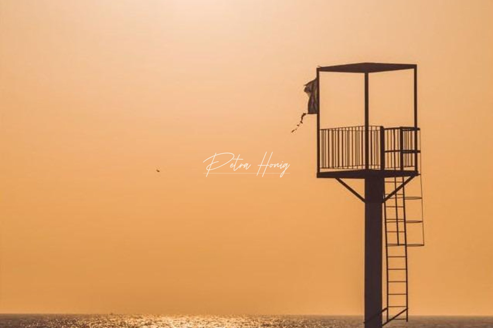 Neubau-Projekte - Apartment - Other areas - Almerimar