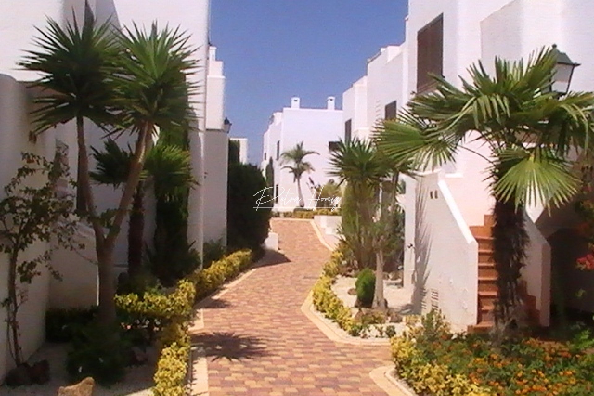 Neubau-Projekte - Apartment - Other areas - San Juan de los Terreros