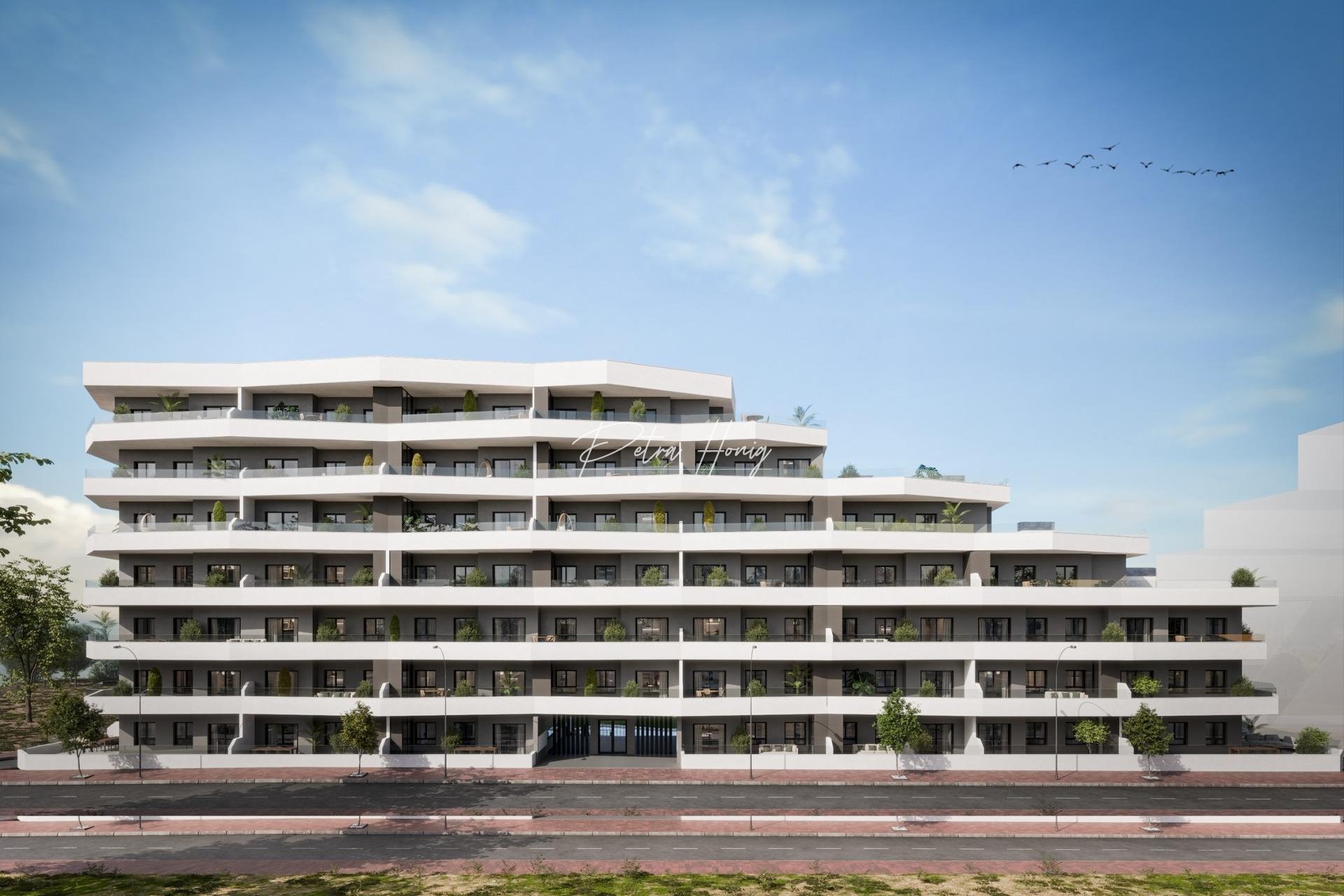 Neubau-Projekte - Apartment - San Miguel de Salinas - Pueblo