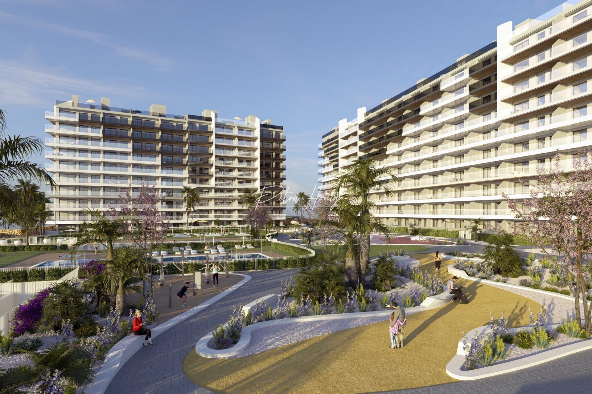 Neubau-Projekte - Apartment - Torrevieja - Punta Prima
