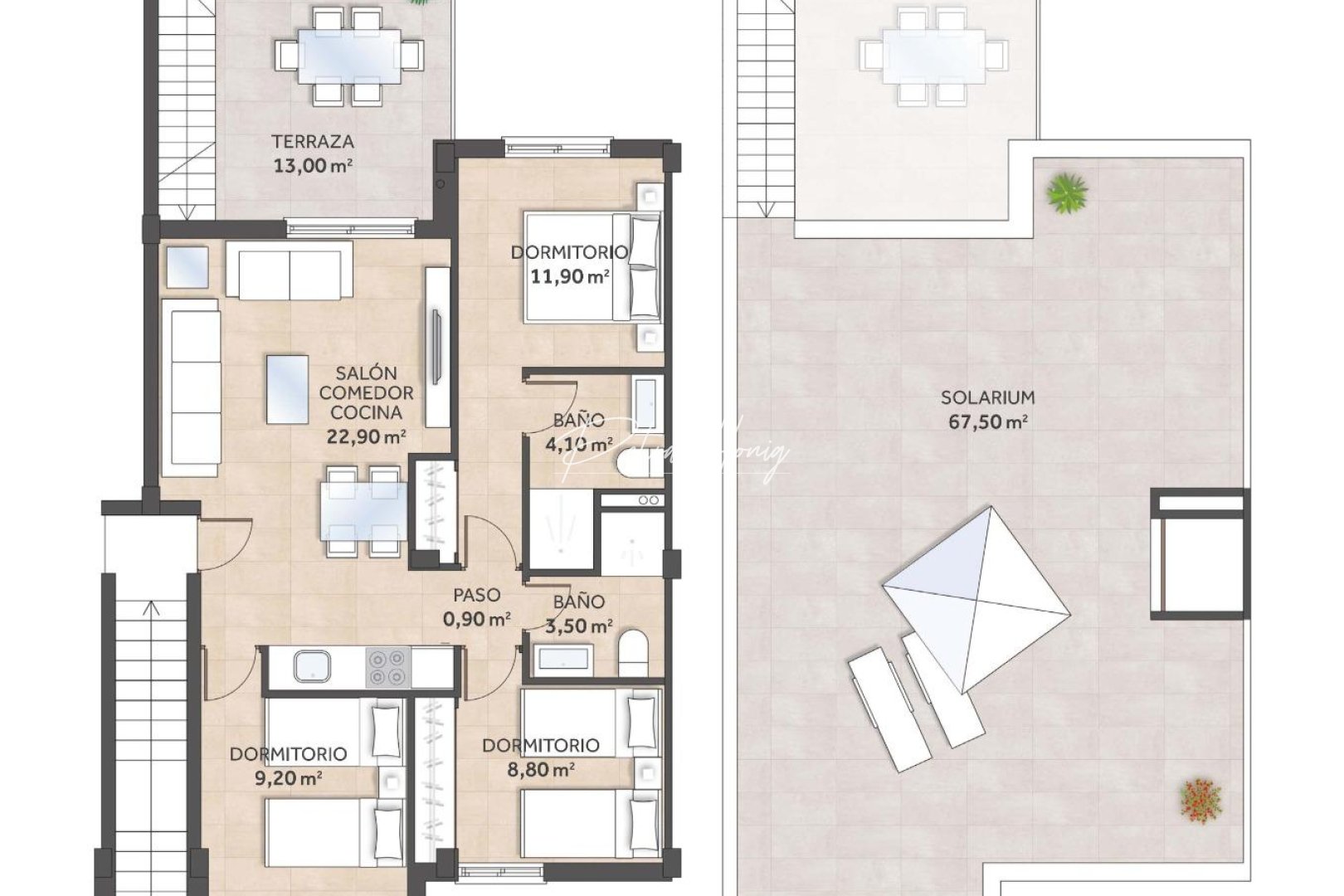 Neubau-Projekte - Bungalow - San Miguel de Salinas - La Cañada