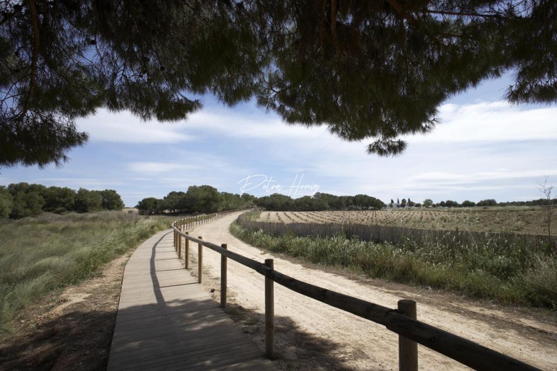 Neubau-Projekte - Bungalow - Torrevieja - Altos del Sol