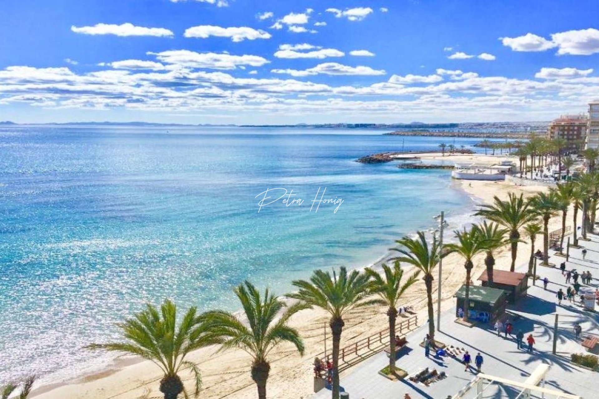 Neubau-Projekte - Bungalow - Torrevieja - Lago Jardín II