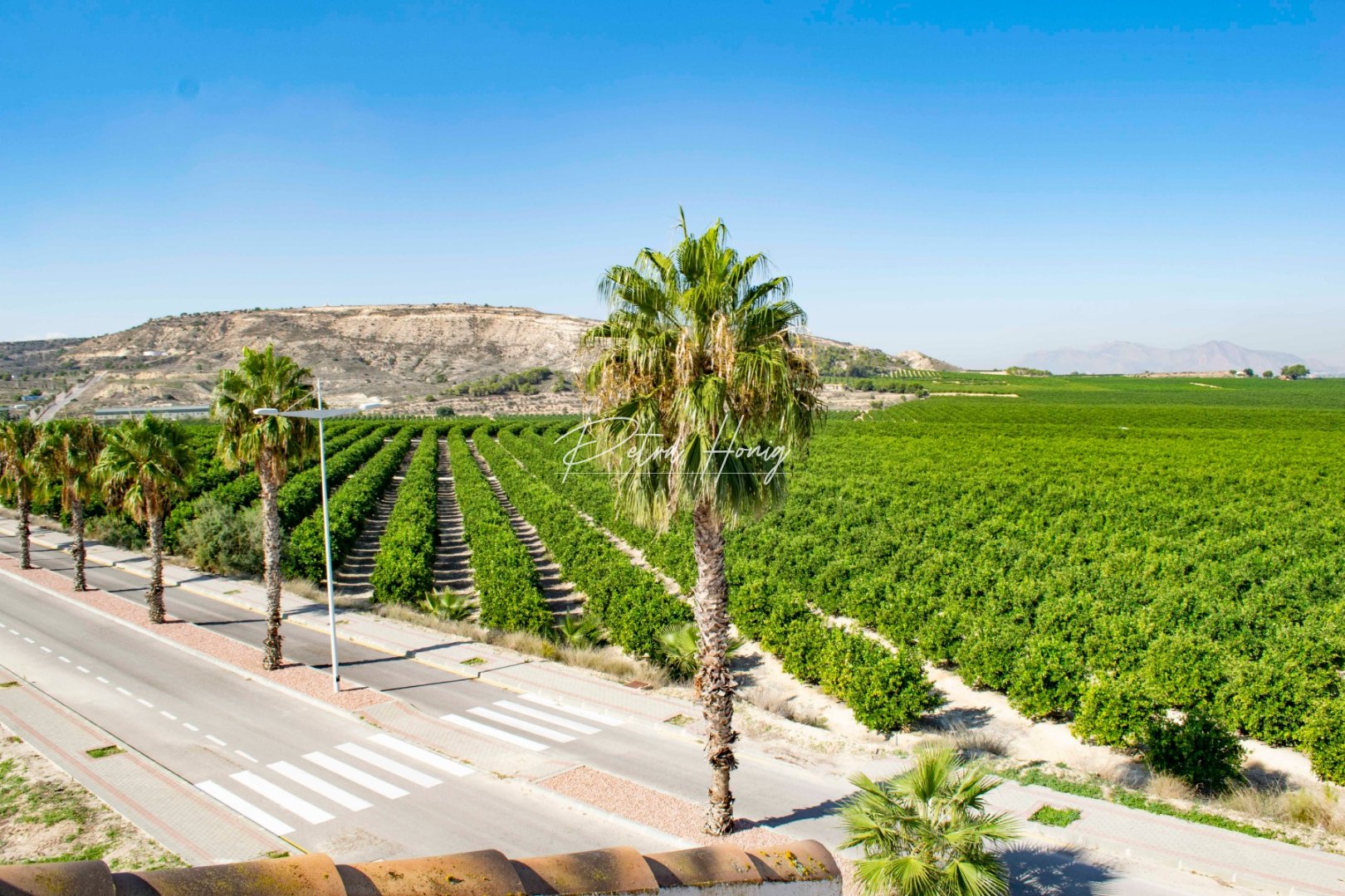 Neubau-Projekte - Einfamilienhaus - Algorfa - La Finca Golf - Algorfa