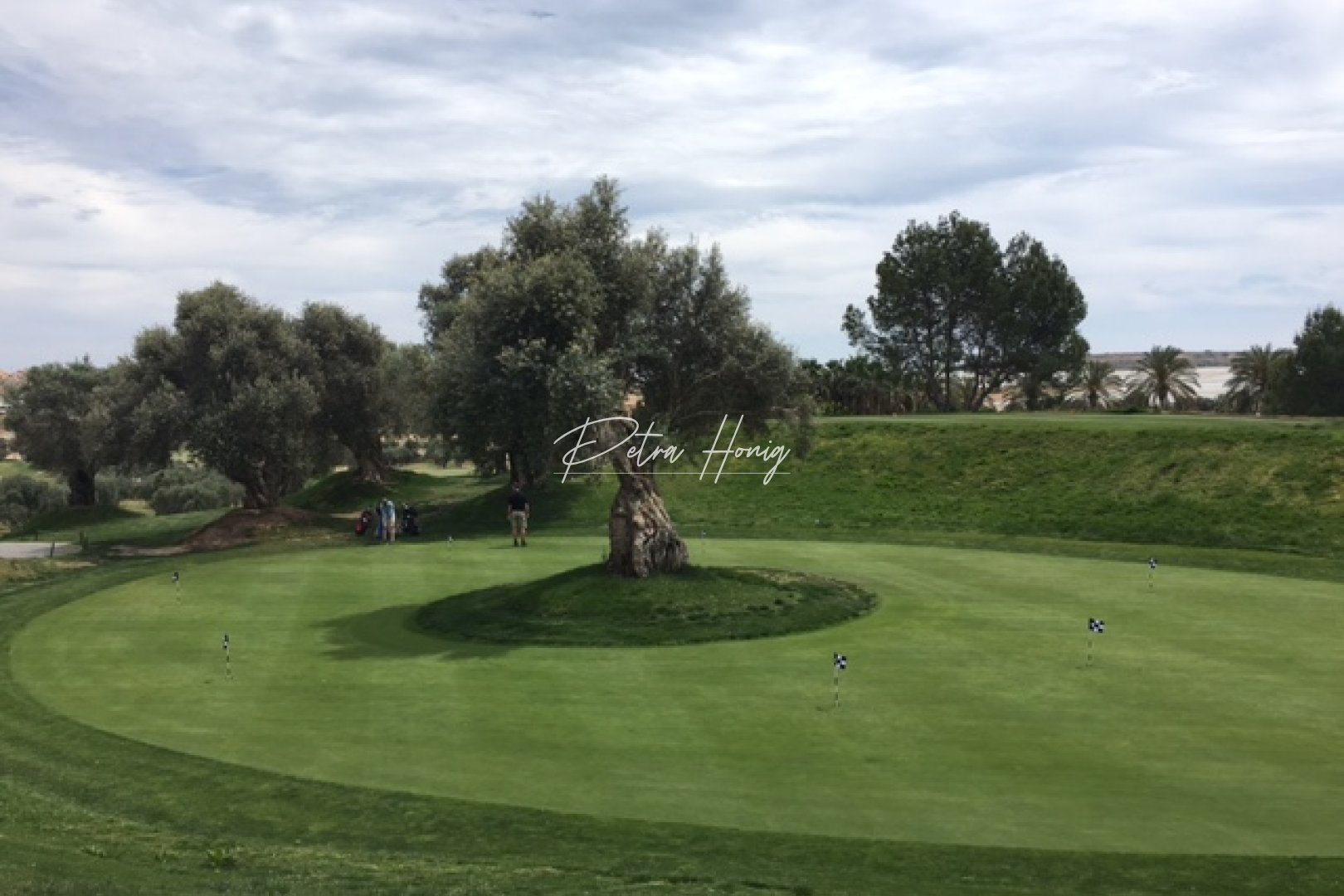 Neubau-Projekte - Einfamilienhaus - Algorfa - La Finca Golf - Algorfa