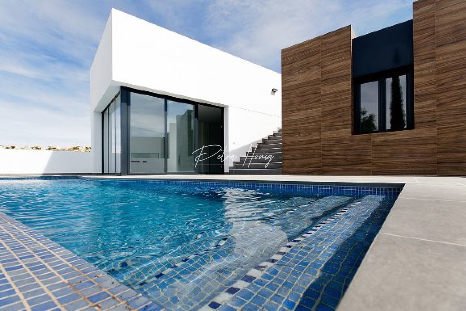 Neubau-Projekte - Einfamilienhaus - Algorfa - La Finca Golf - Algorfa