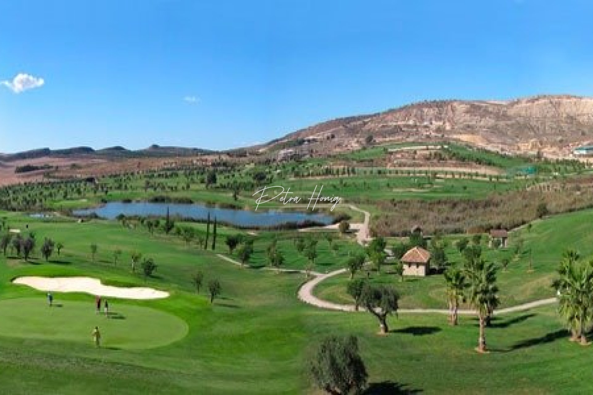 Neubau-Projekte - Einfamilienhaus - Algorfa - La Finca Golf