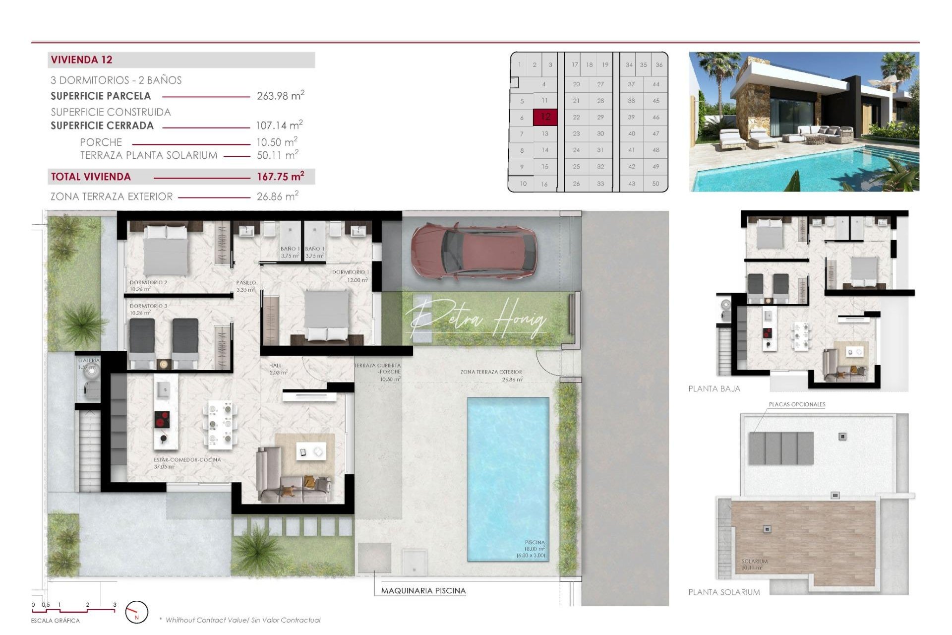 Neubau-Projekte - Einfamilienhaus - Ciudad Quesada - Lo Marabu