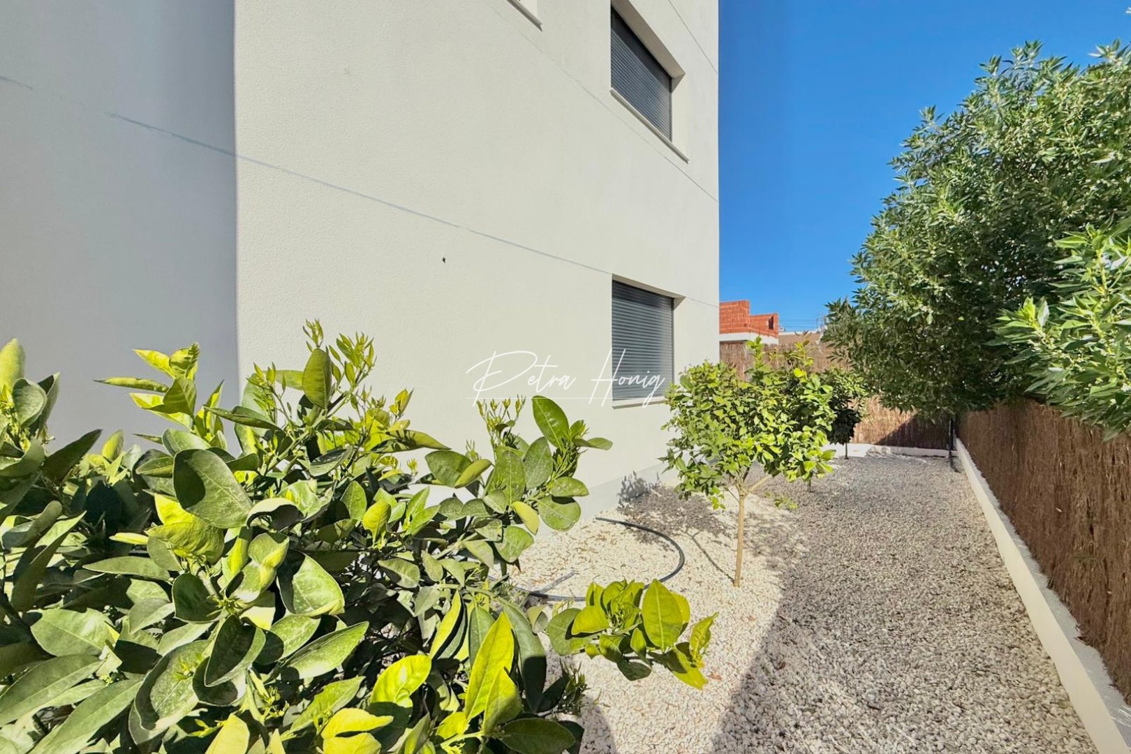 Neubau-Projekte - Einfamilienhaus - Ciudad Quesada - Town Center