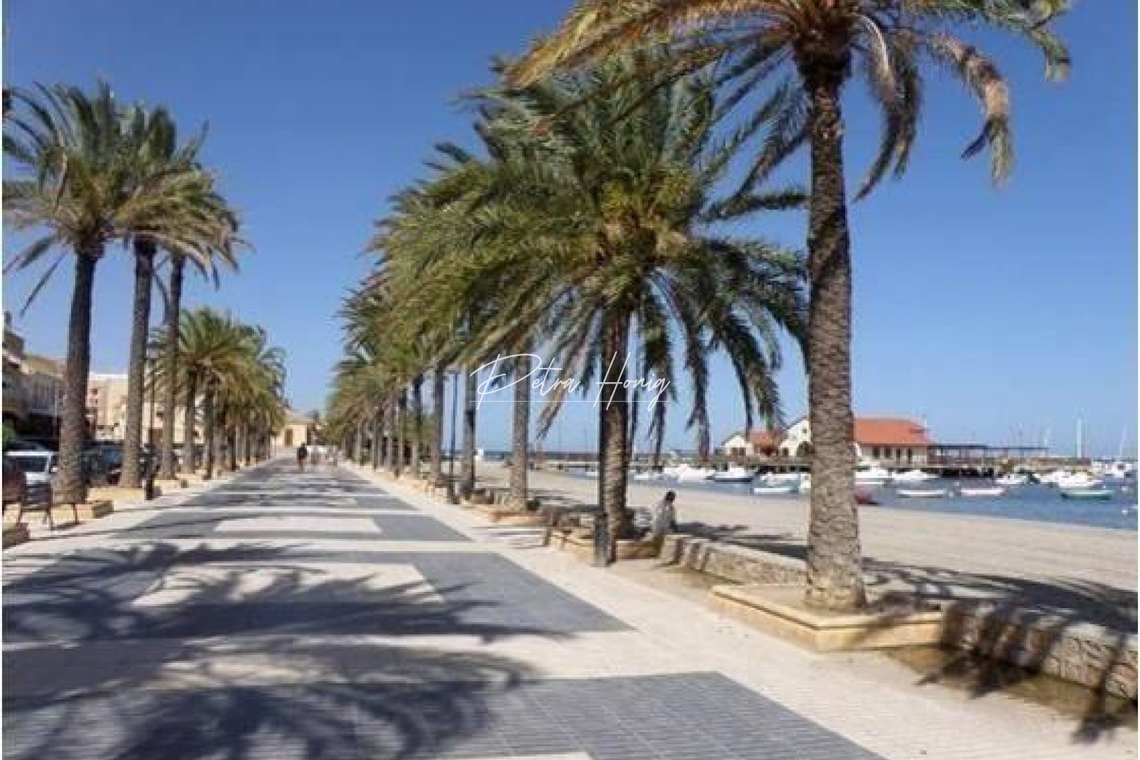 Neubau-Projekte - Einfamilienhaus - Los Alcazares - Serena Golf