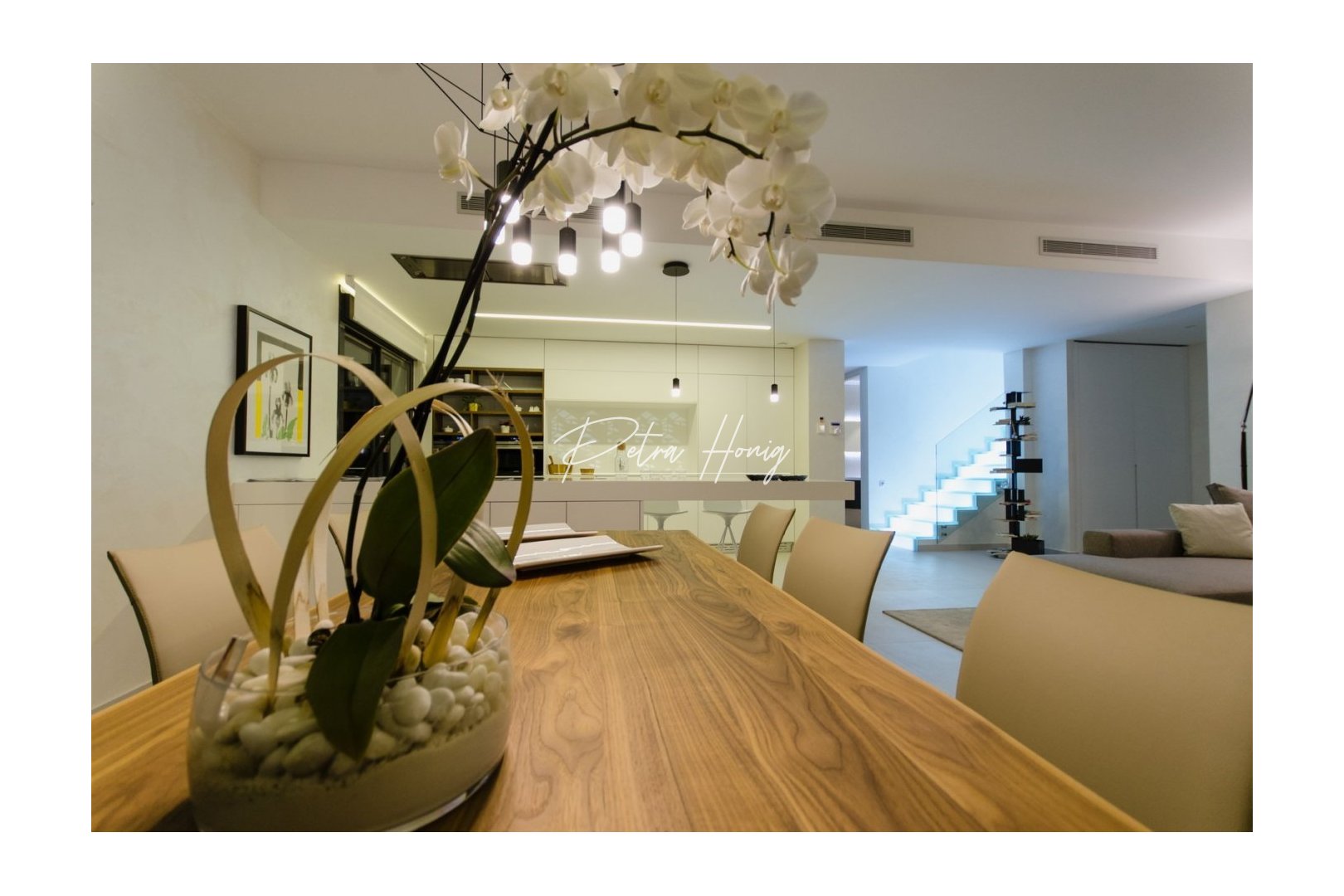 Neubau-Projekte - Einfamilienhaus - Orihuela Costa - Campoamor