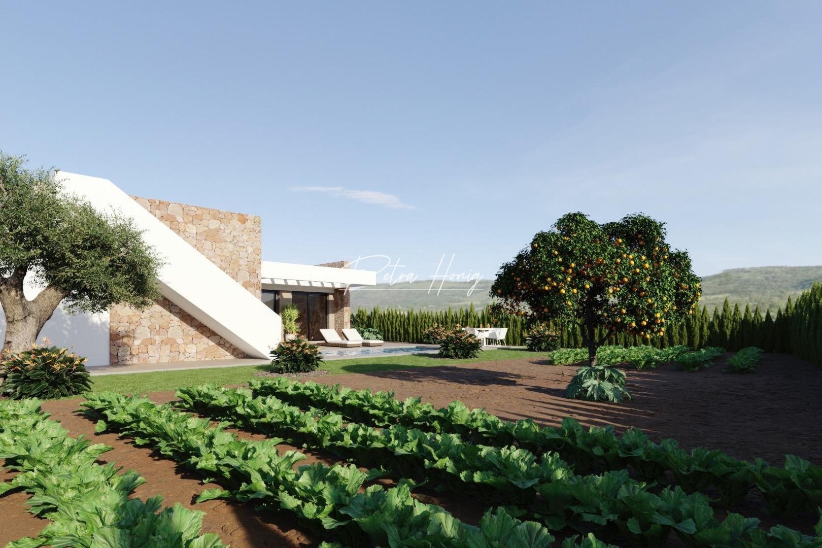 Neubau-Projekte - Einfamilienhaus - Other areas - Hacienda del Alamo