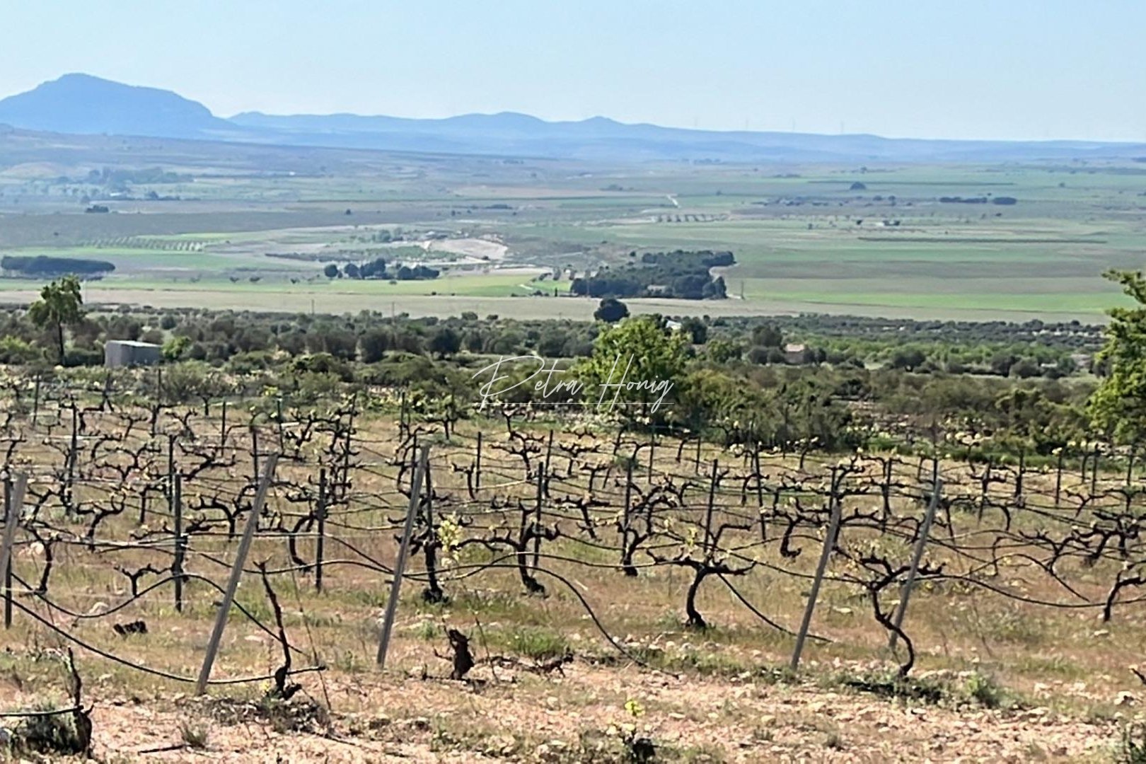 Neubau-Projekte - Einfamilienhaus - Other areas - Yecla