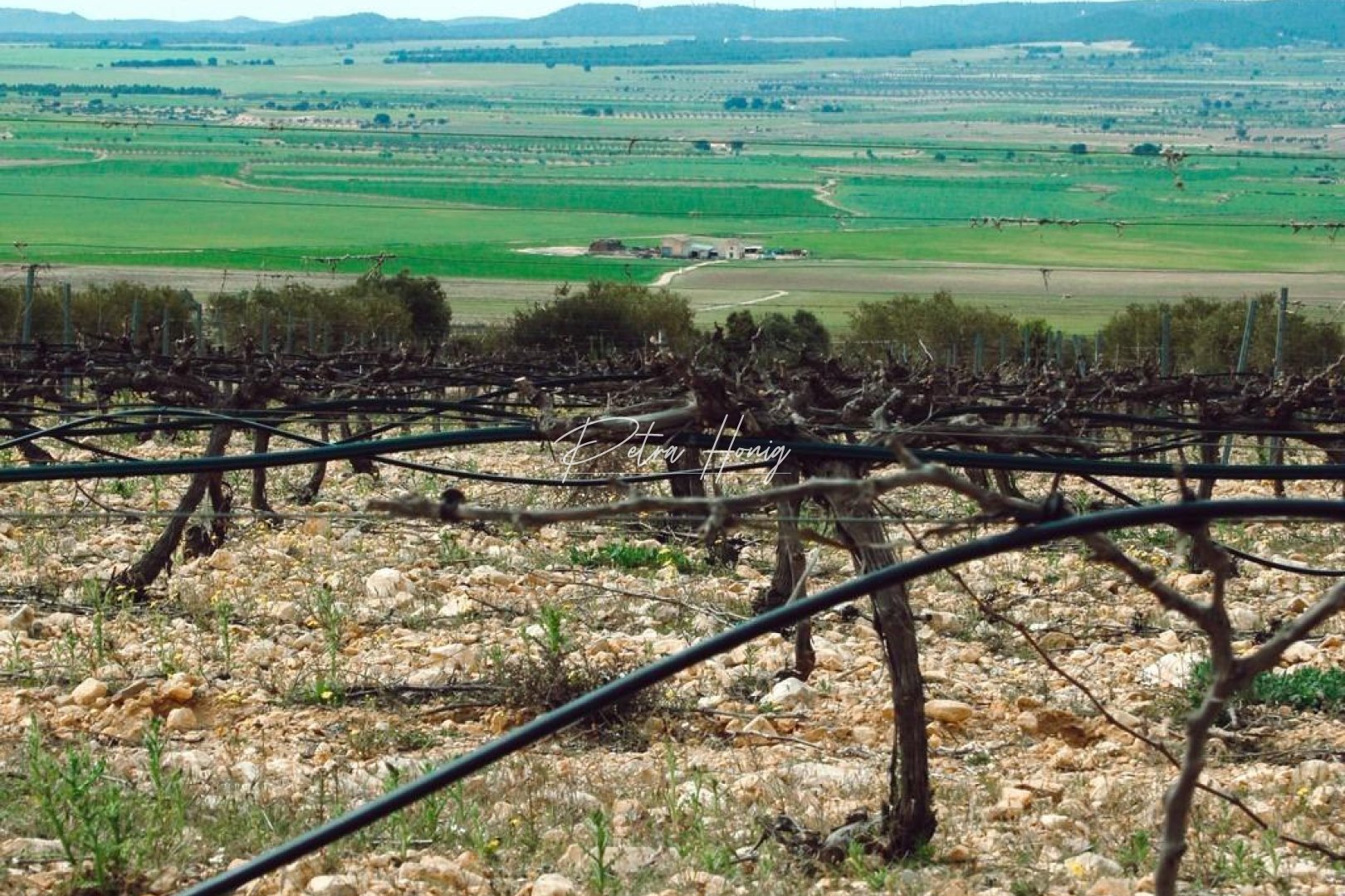Neubau-Projekte - Einfamilienhaus - Other areas - Yecla