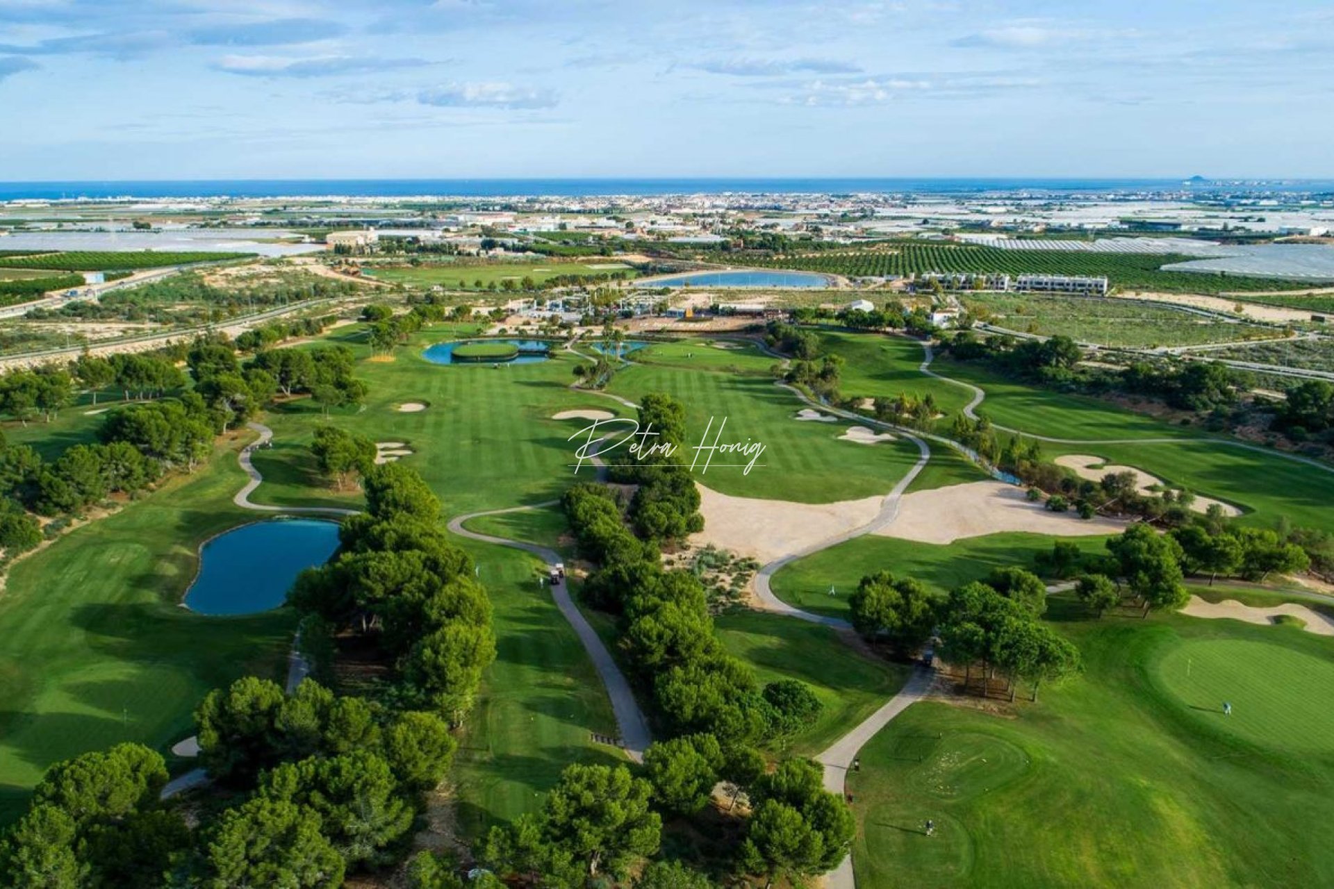 Neubau-Projekte - Einfamilienhaus - Pilar de La Horadada - Lo Romero Golf