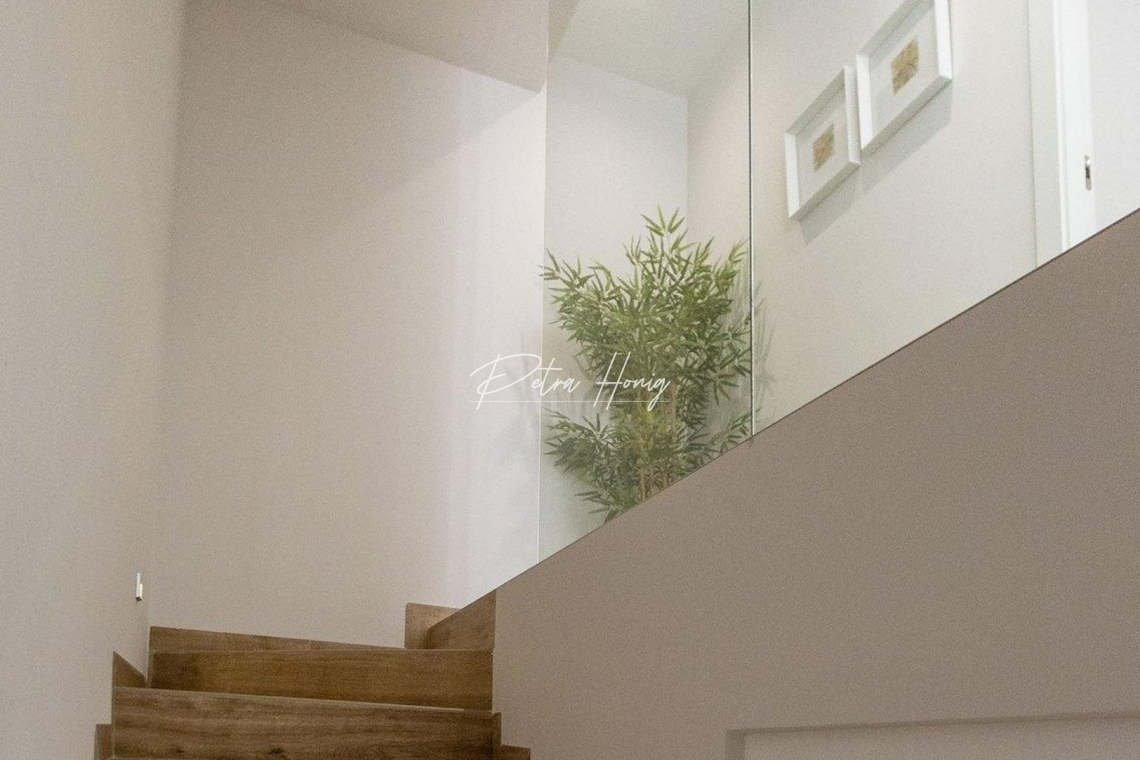 Neubau-Projekte - Einfamilienhaus - Pilar de La Horadada - Lo Romero Golf