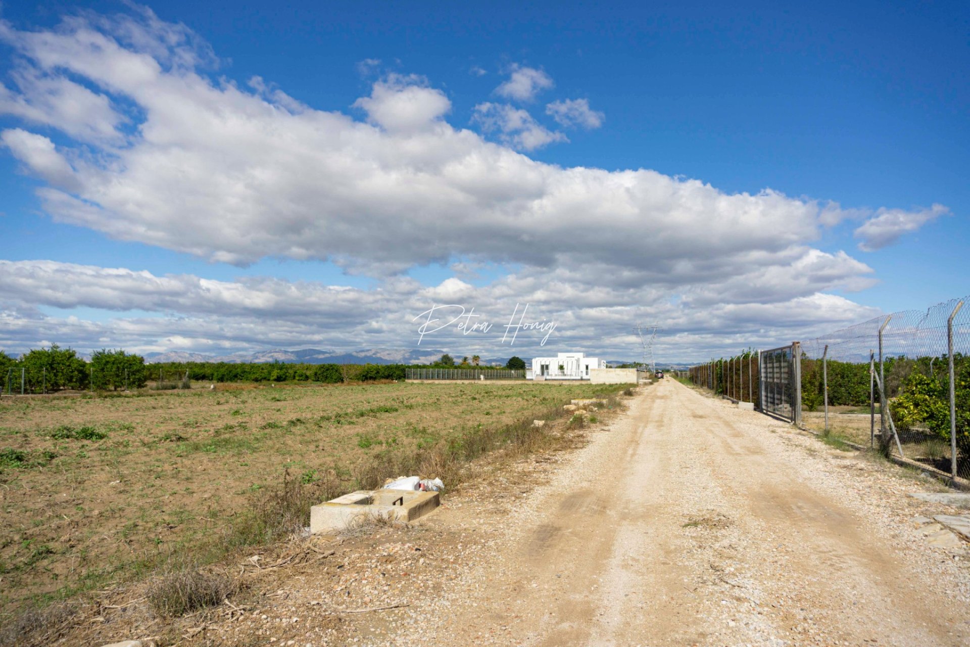 Neubau-Projekte - Finca - Ciudad Quesada