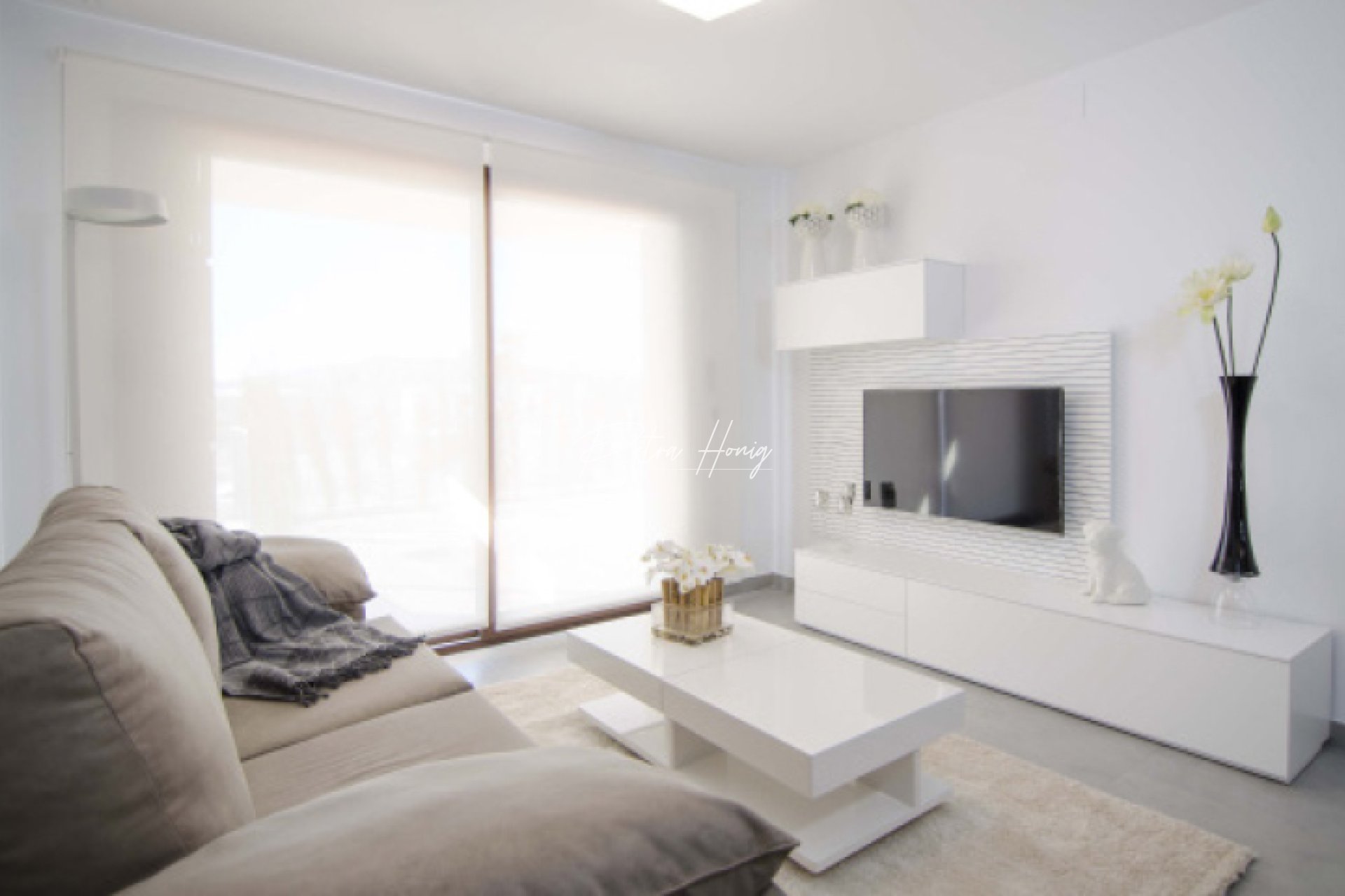 Neubau-Projekte -  - Other areas - San Juan de los Terreros