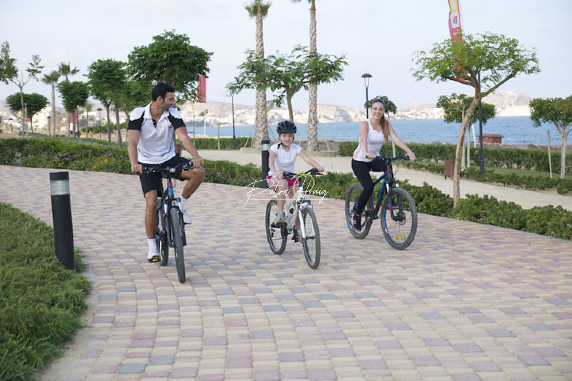 Neubau-Projekte -  - Other areas - San Juan de los Terreros