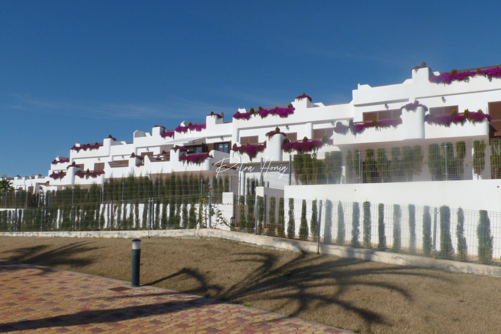 Neubau-Projekte -  - Other areas - San Juan de los Terreros
