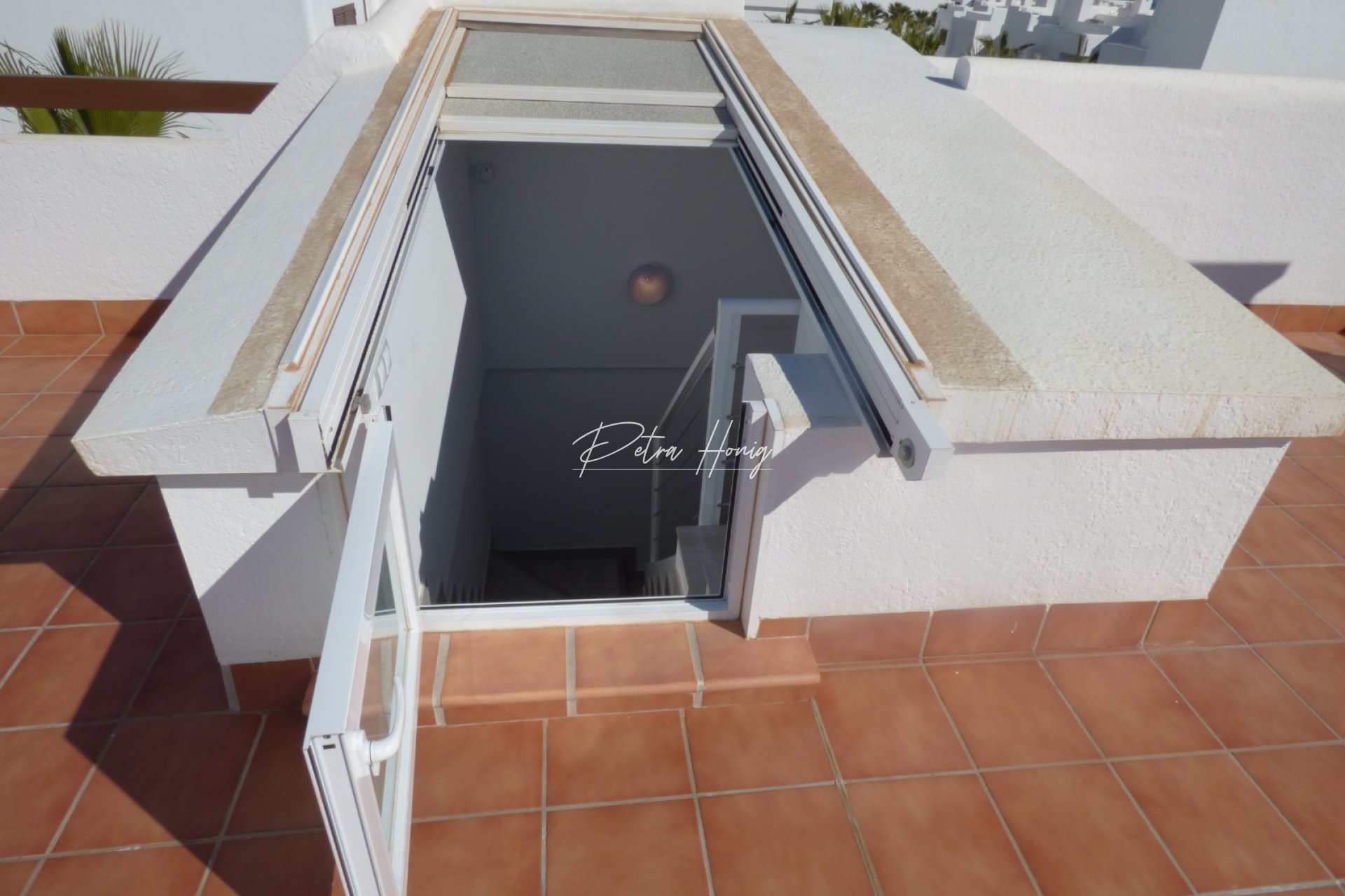 Neubau-Projekte -  - Other areas - San Juan de los Terreros