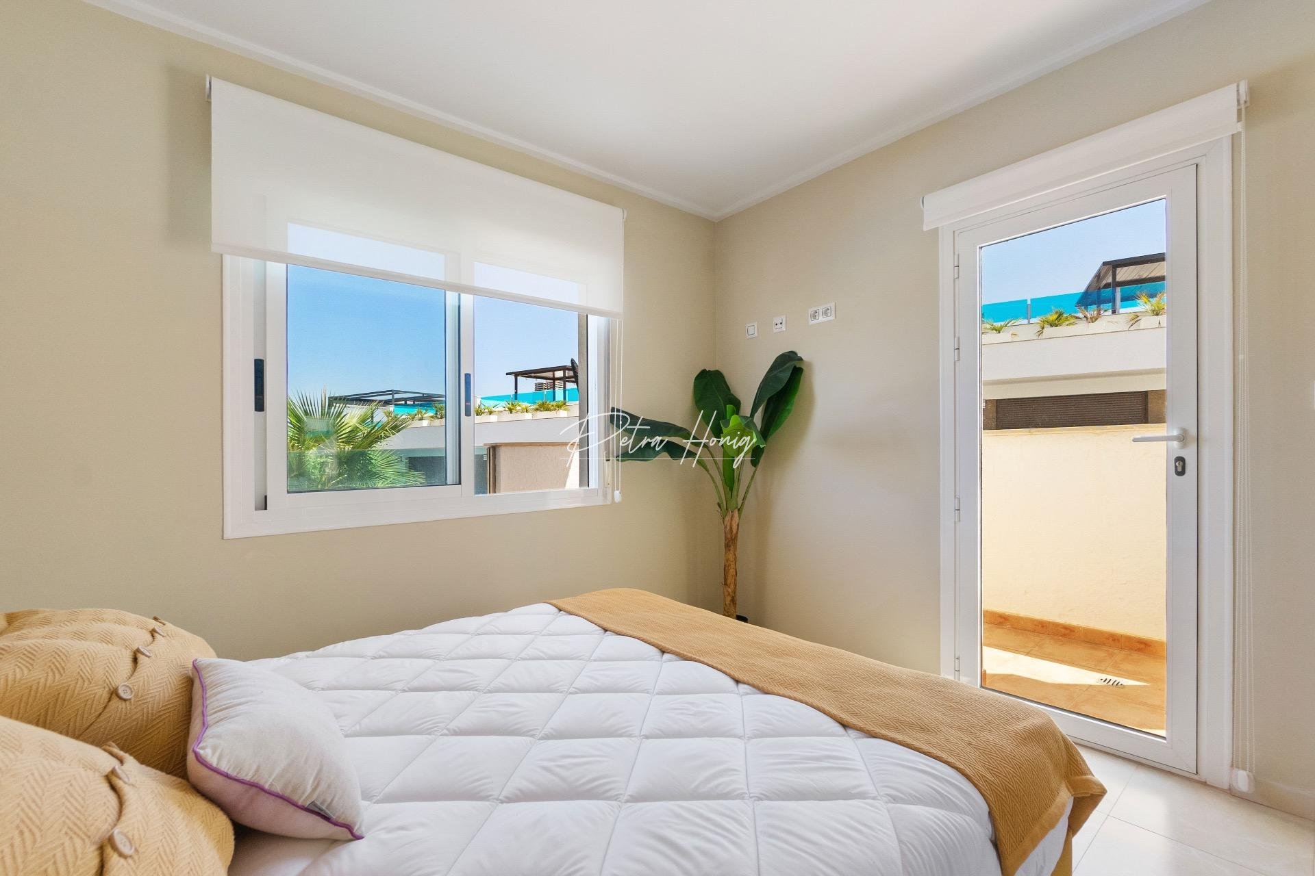 Neubau-Projekte - Reihenhaus - Torrevieja - Los Altos