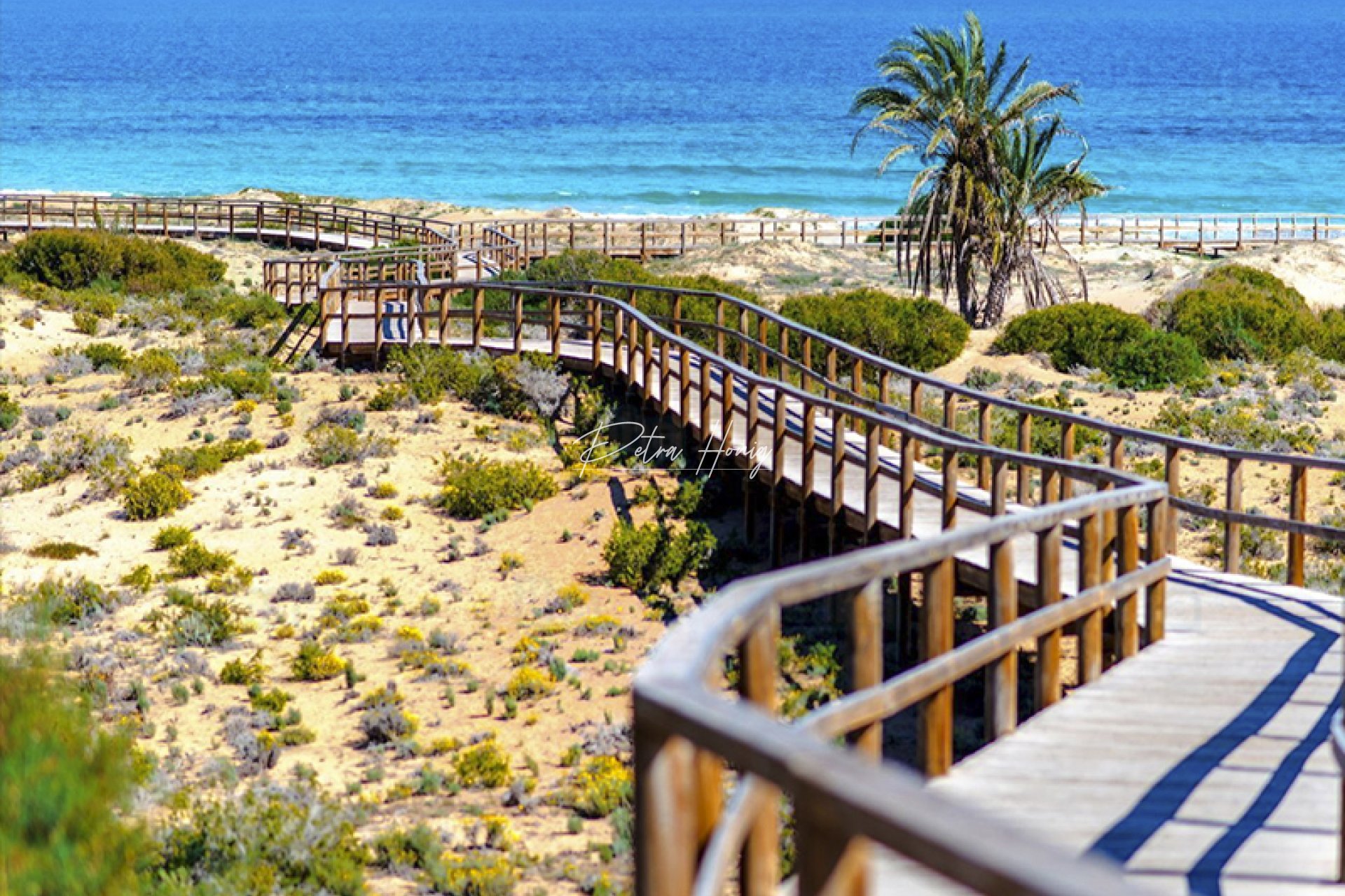 New build - Apartment - Arenales del Sol