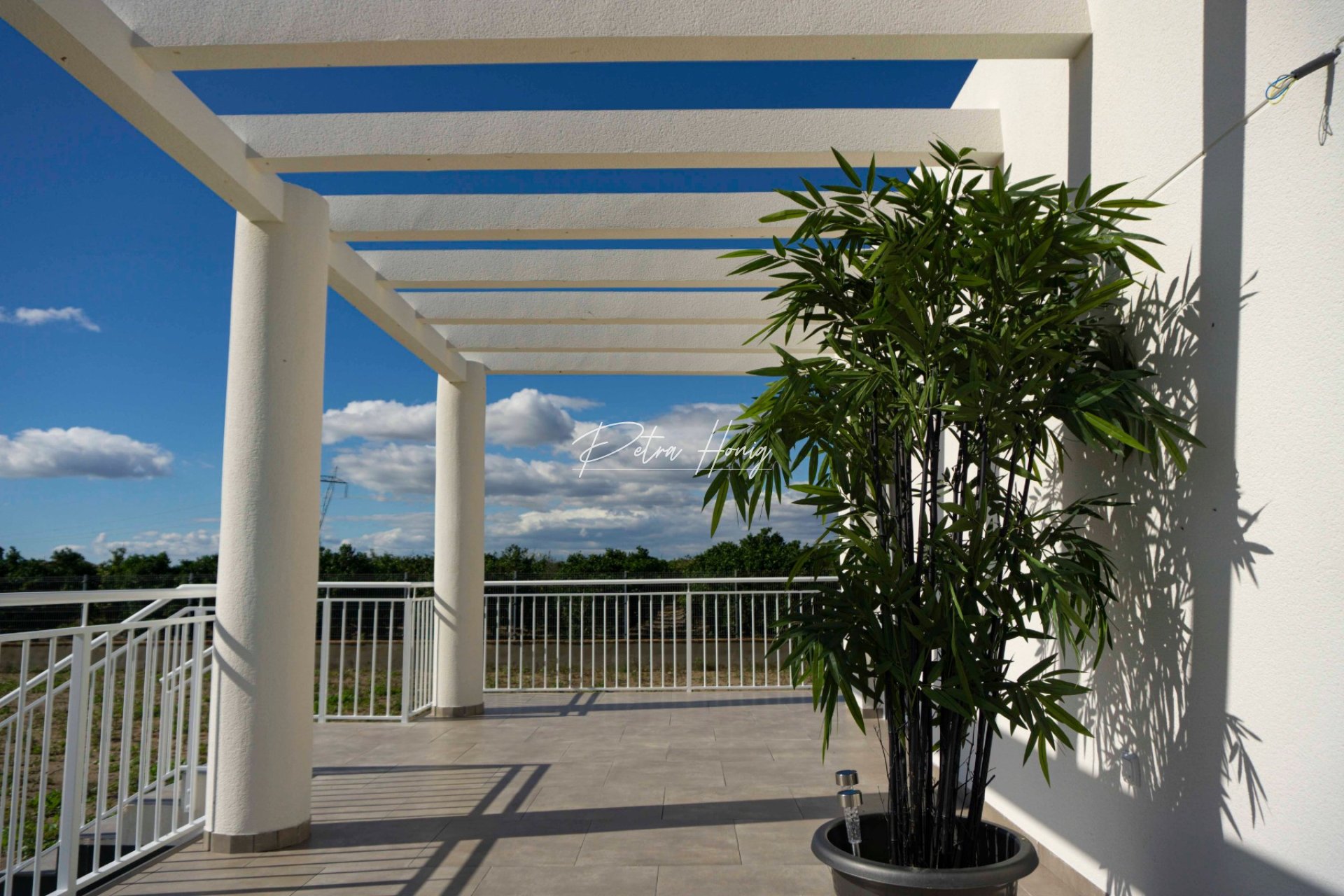 New build - Finca - Ciudad Quesada
