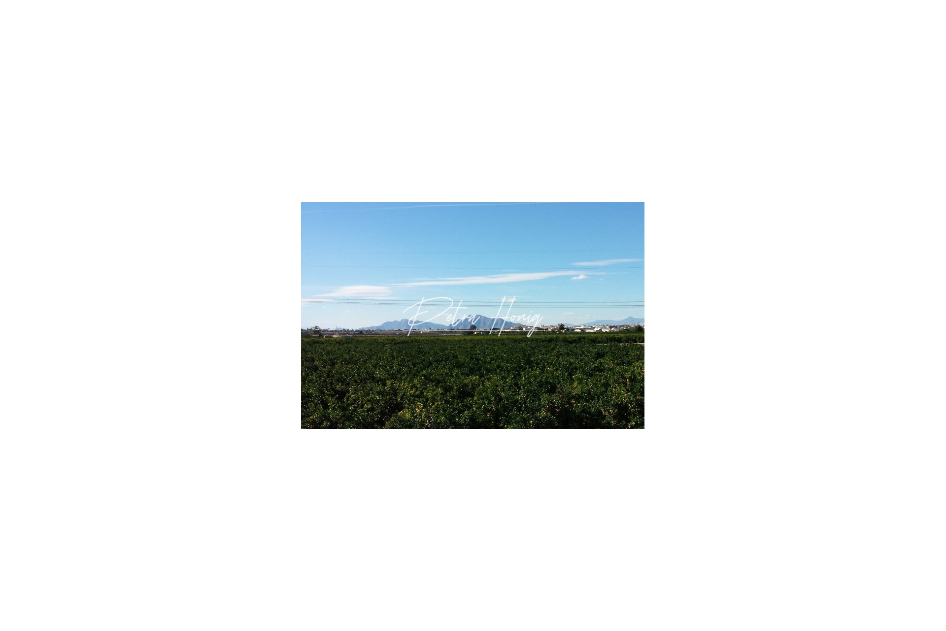 New build - Finca - Ciudad Quesada