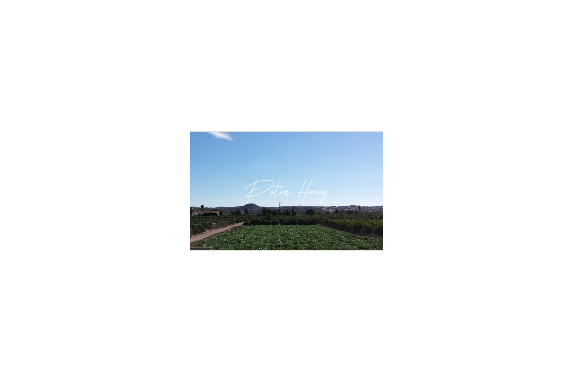 New build - Finca - Ciudad Quesada