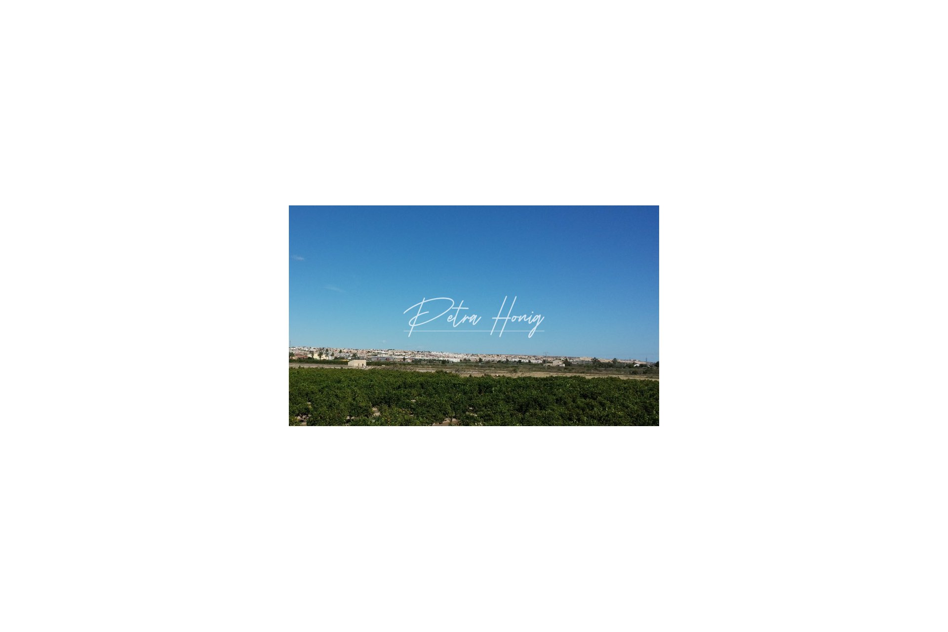 New build - Finca - Ciudad Quesada