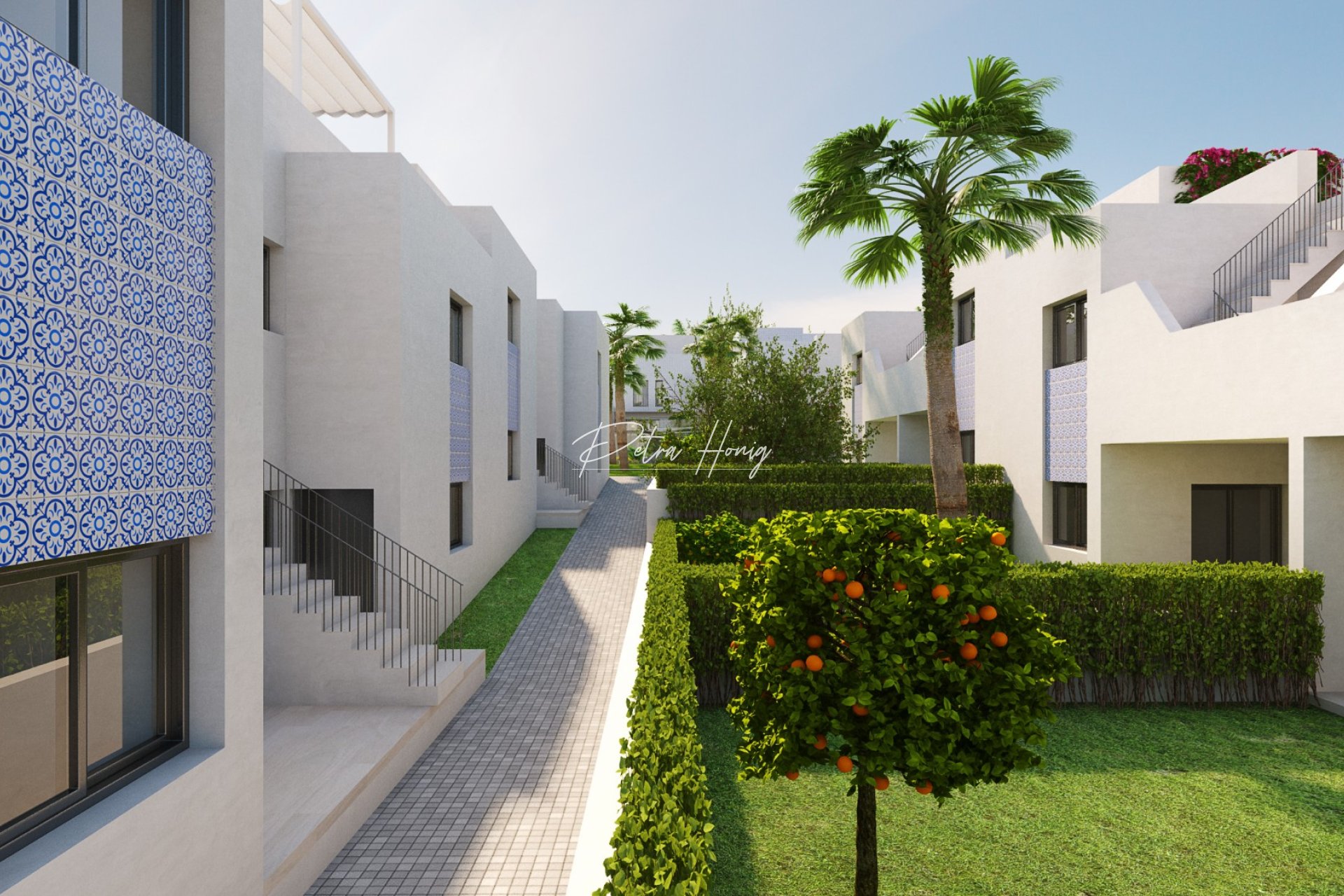 New build -  - San Miguel de Salinas