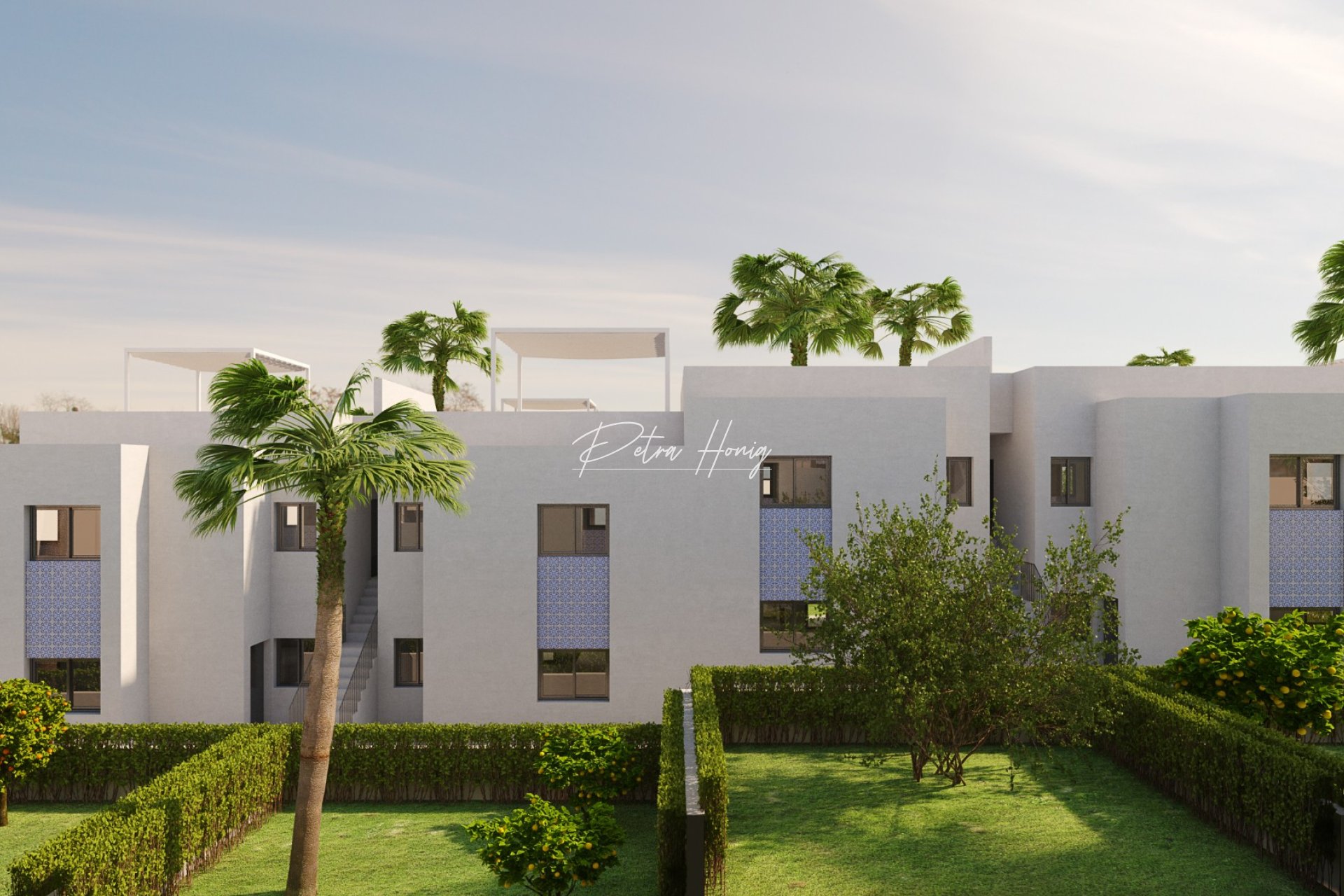 New build -  - San Miguel de Salinas