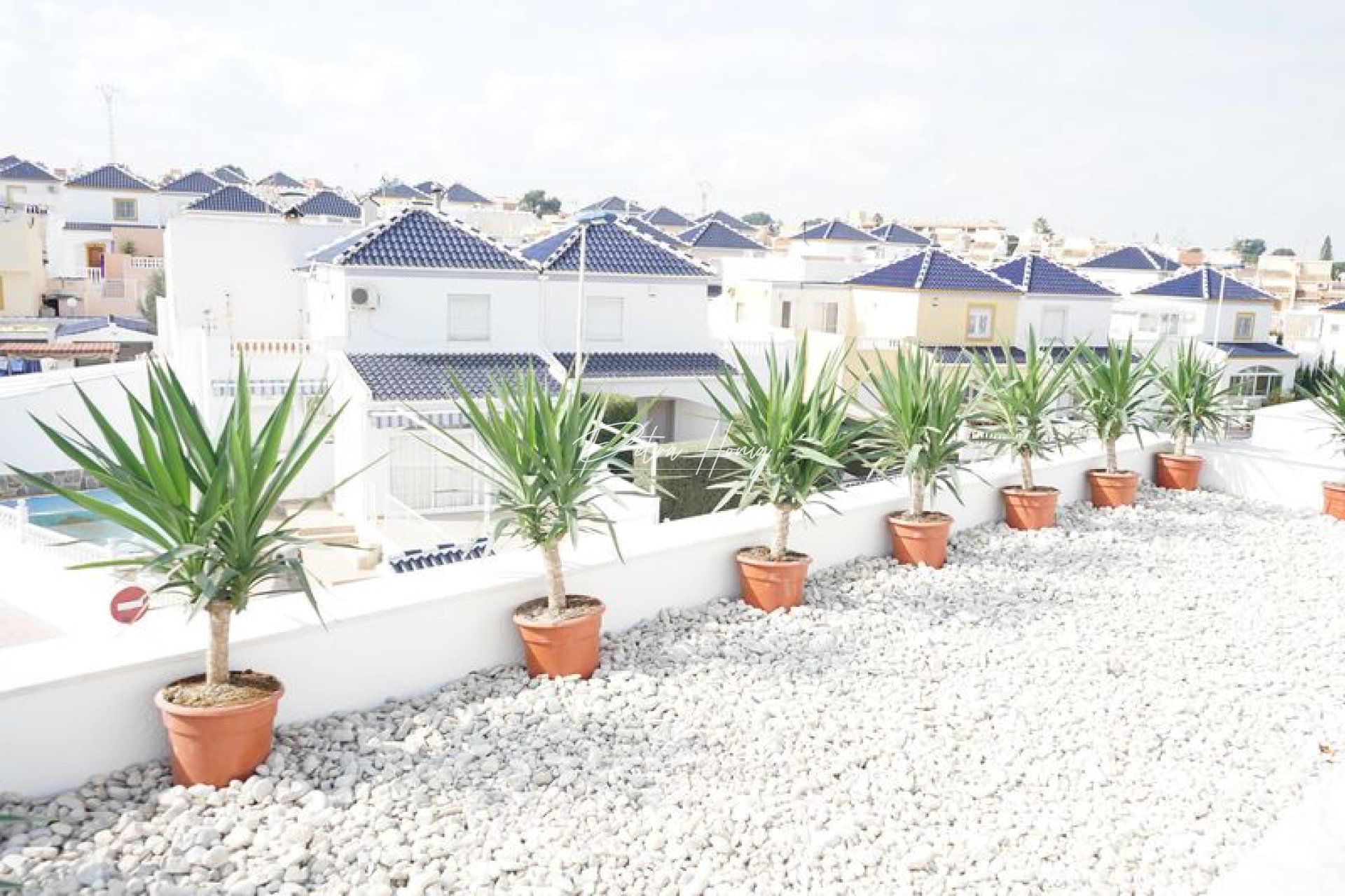 New build - Townhouse - Torrevieja - Los Balcones