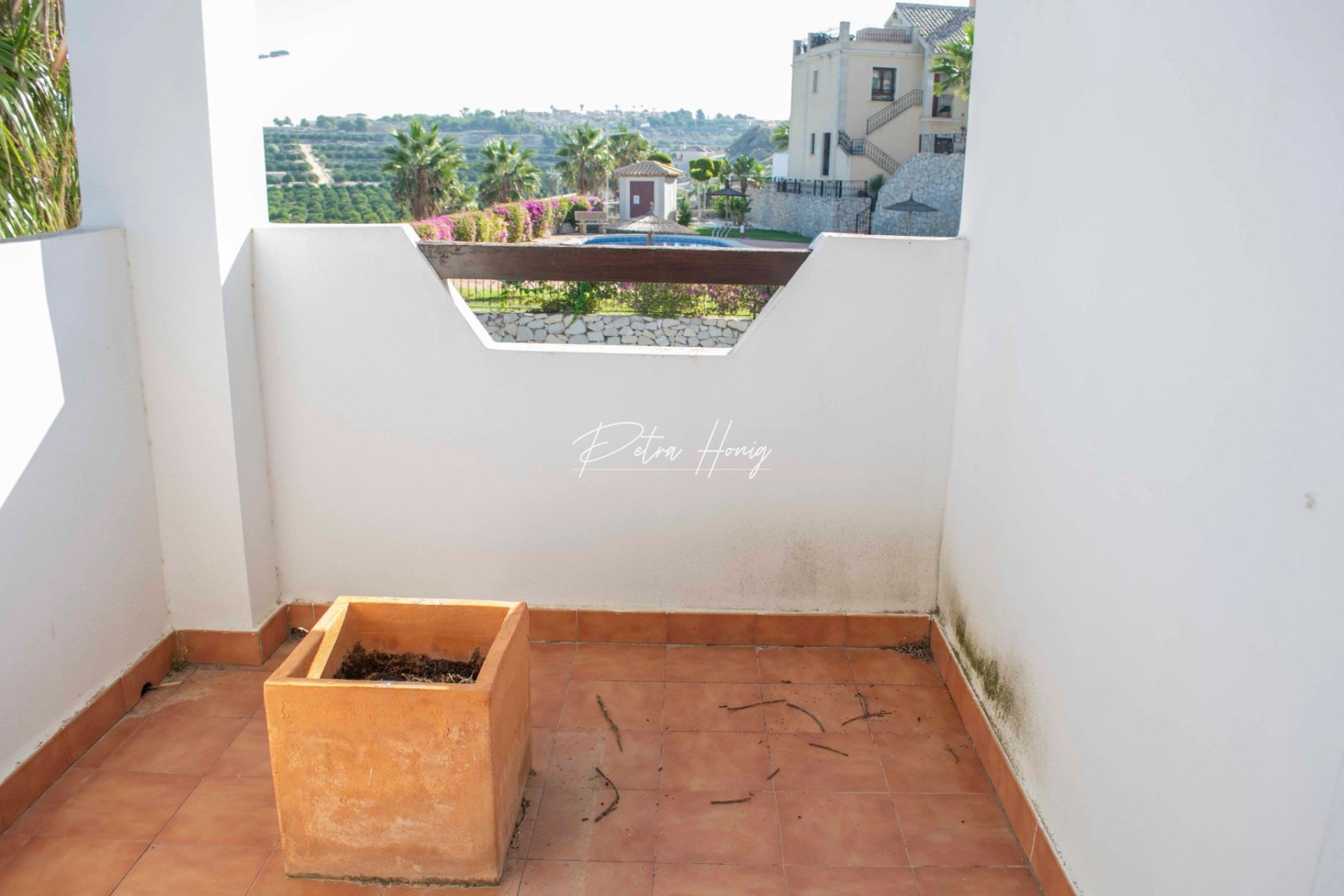 New build - Villa - Algorfa