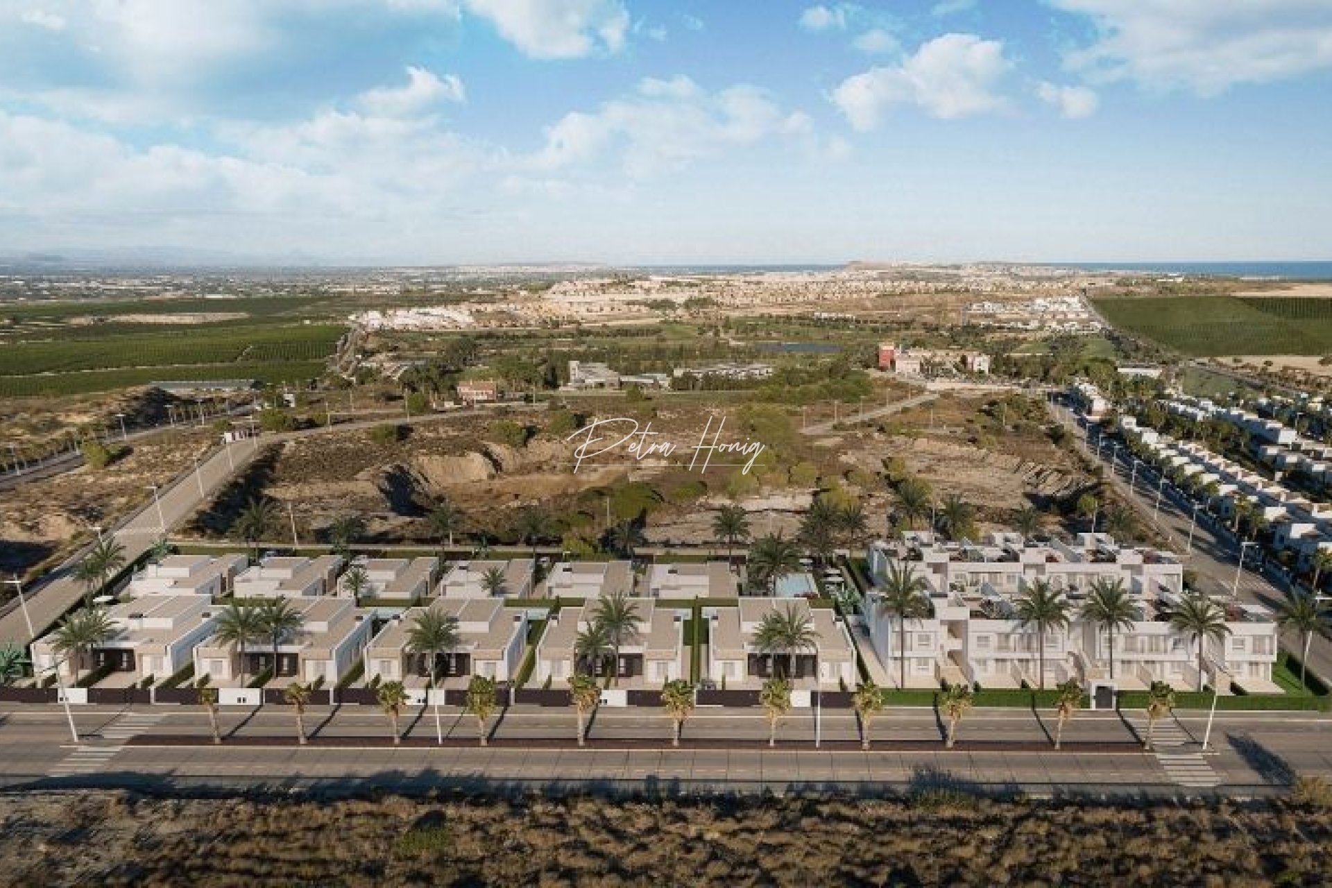 New build - Villa - Algorfa