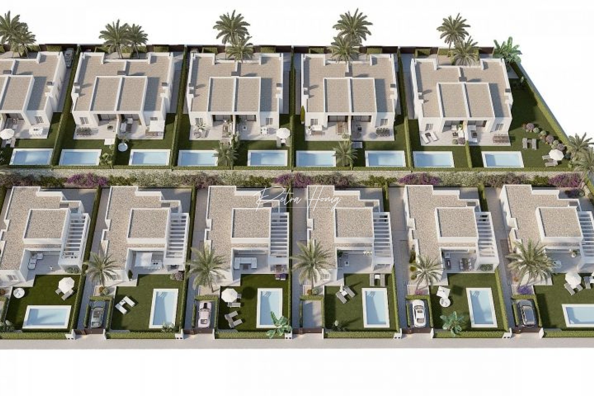 New build - Villa - Algorfa
