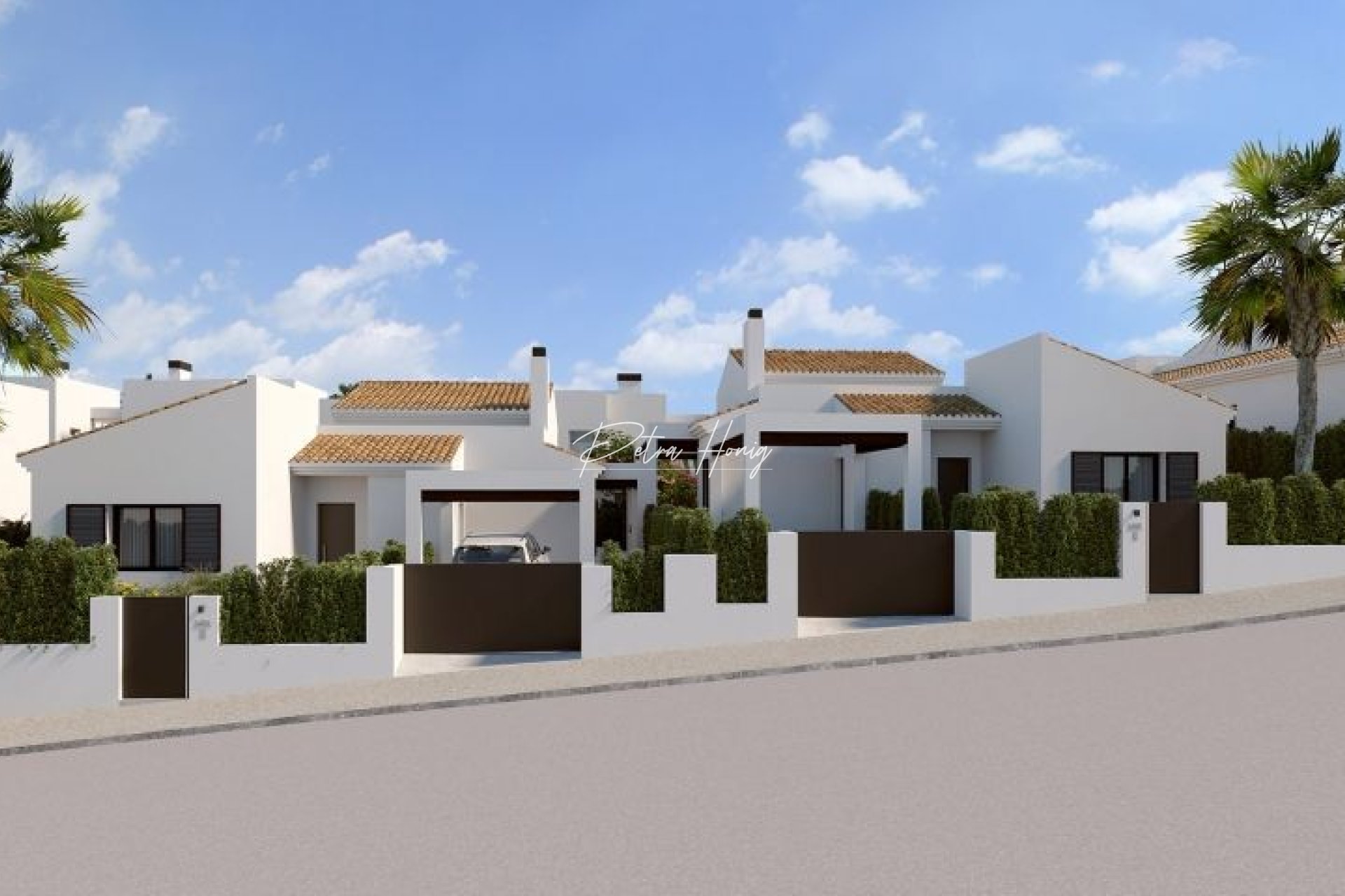 New build - Villa - Algorfa