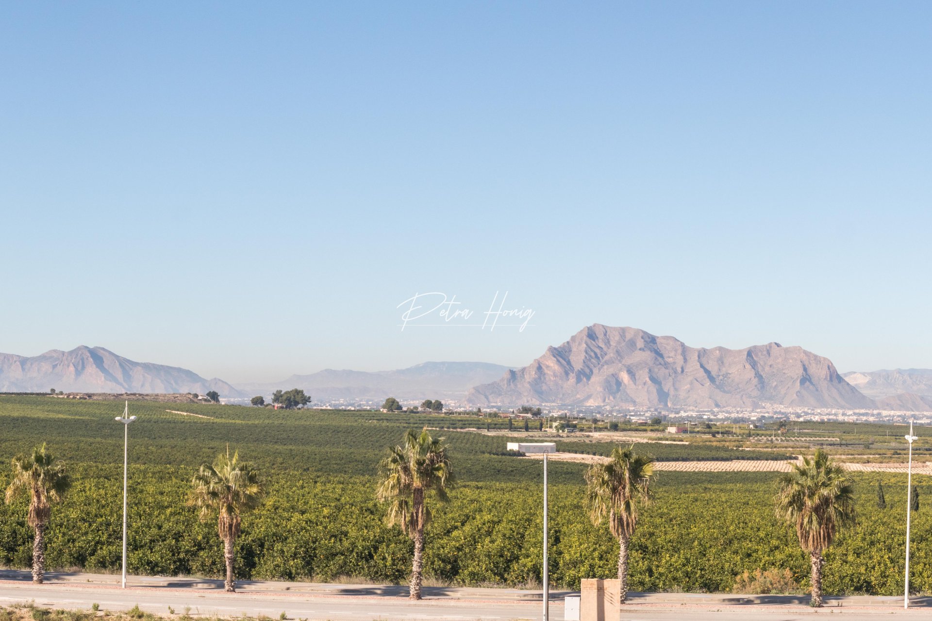 New build - Villa - La Finca Golf