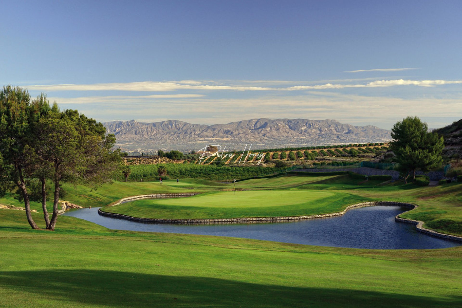 New build - Villa - La Finca Golf