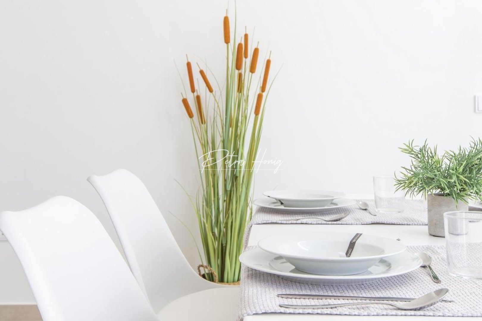 New build - Villa - Other areas - Parque de los leones