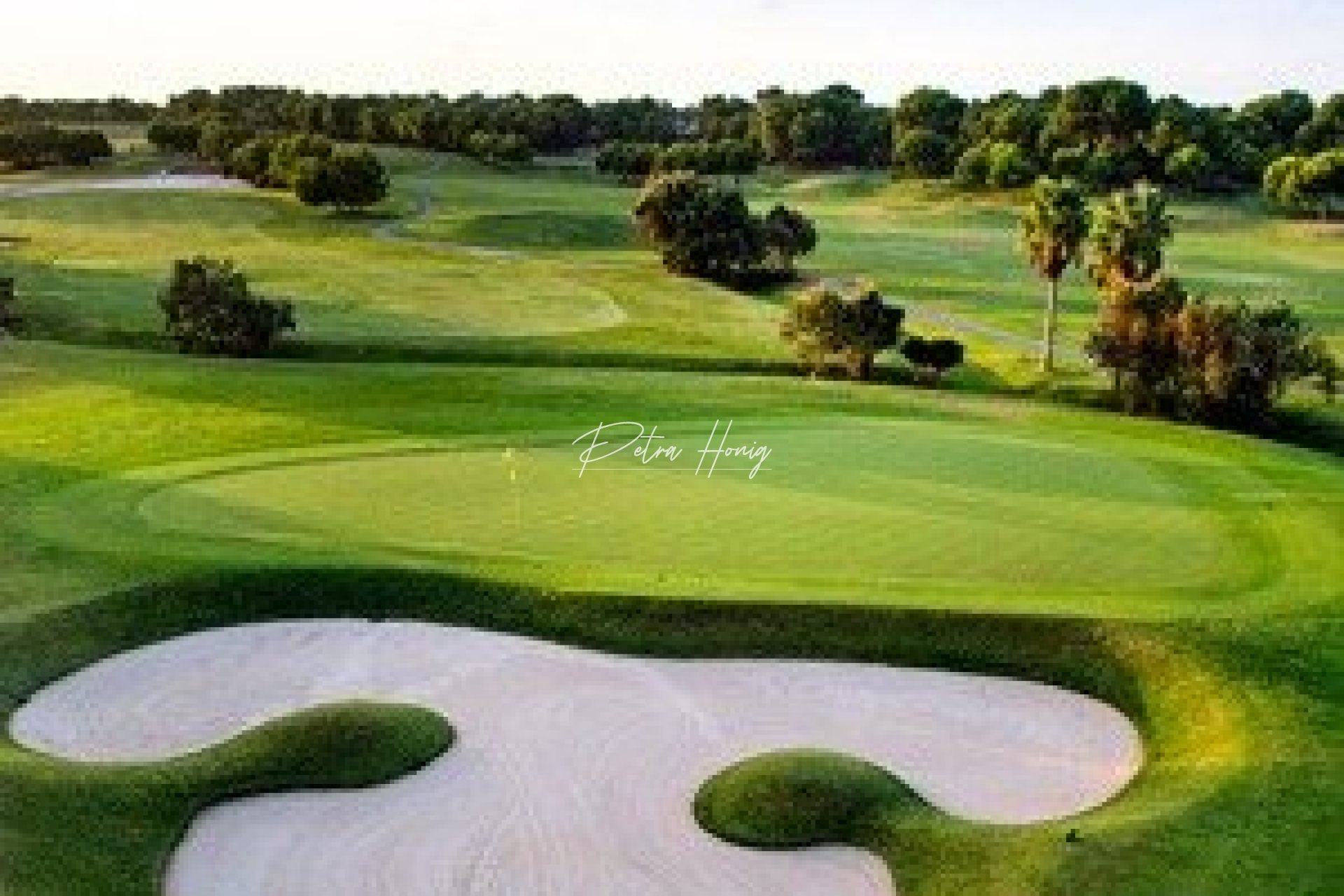 New build - Villa - Pilar de La Horadada - Lo Romero Golf